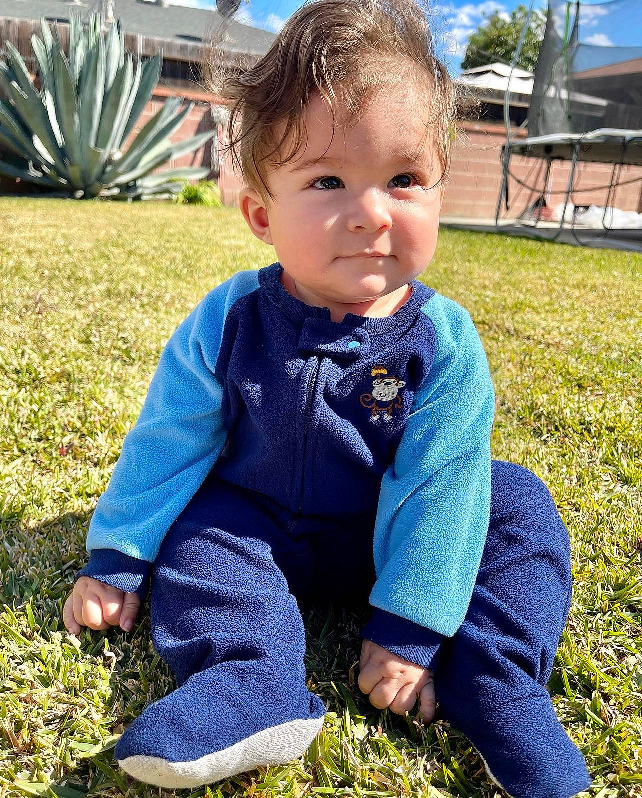 Aziel joined the competition — help win amazing prizes! baby, baby_toddler_clothing, blue, child, electric_blue, fun, grass, grass_family, green, happy, lawn, leaf, people_in_nature, person, photograph, plant, sky, sleeve, summer, toddler