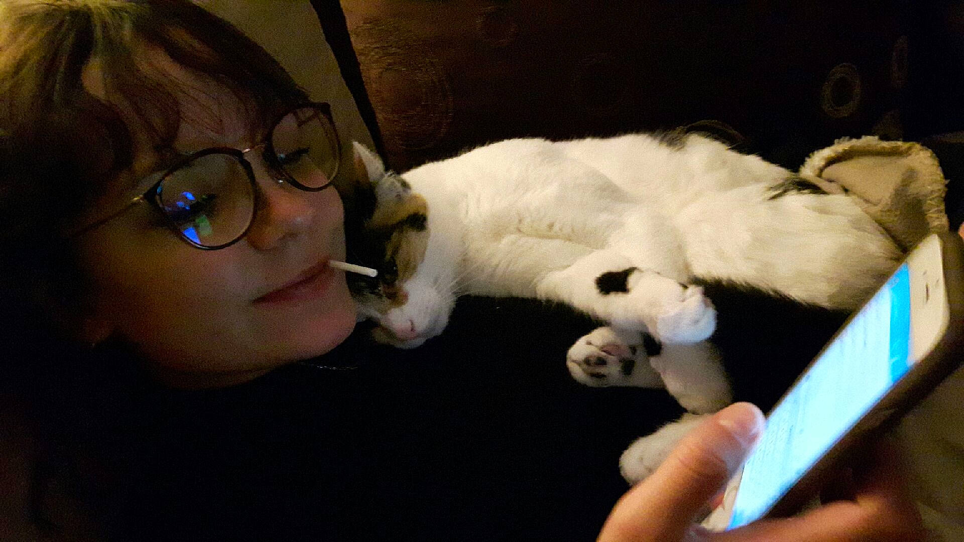 Litchie participe au concours pour gagner de l'argent avec cette photo : canidae, carnivore, cat, companion_dog, ear, felidae, fur, glasses, nose, puppy, small_to_medium_sized_cats