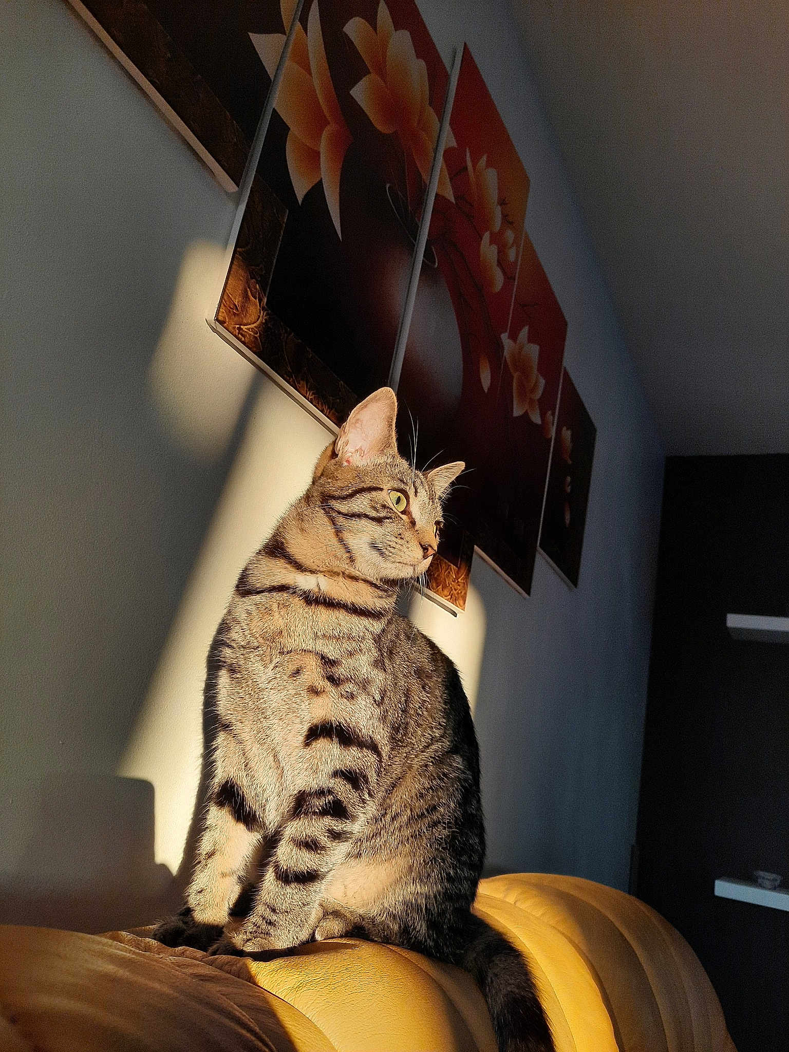 Saïko
