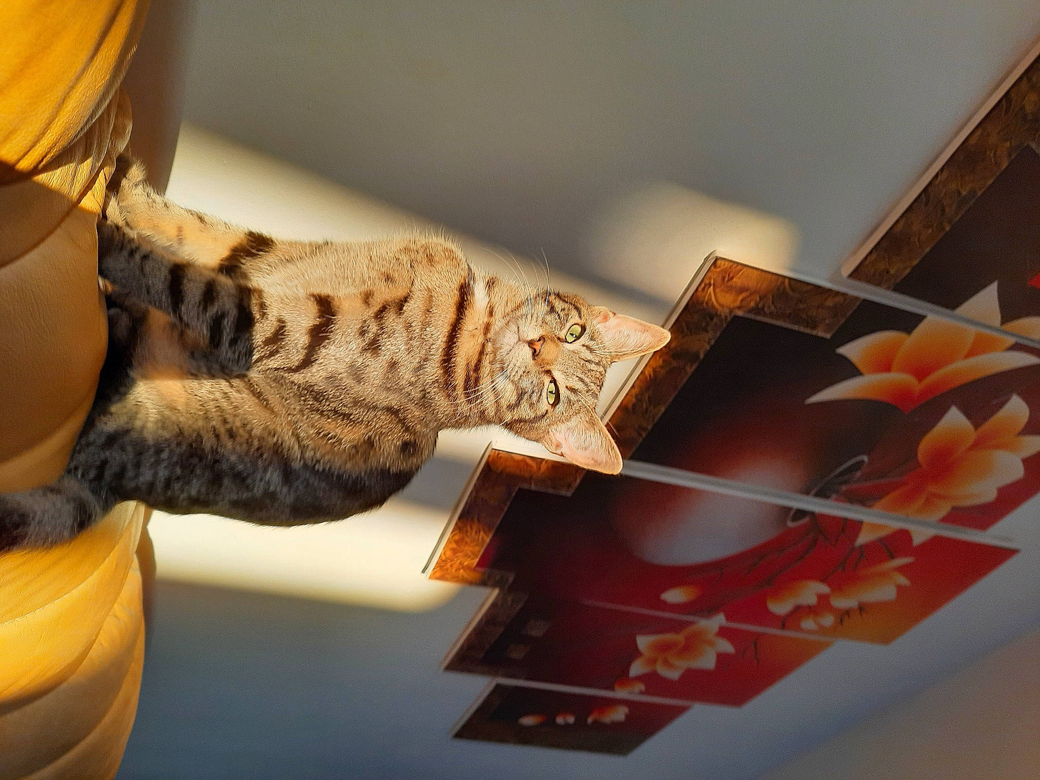 Saïko participe au concours pour gagner de l'argent avec cette photo : art, comfort, couch, elbow, felidae, finger, flooring, gesture, human_leg, knee, living_room, pattern, room, stairs, thigh, tints_and_shades, tree, visual_arts, wood, wrist