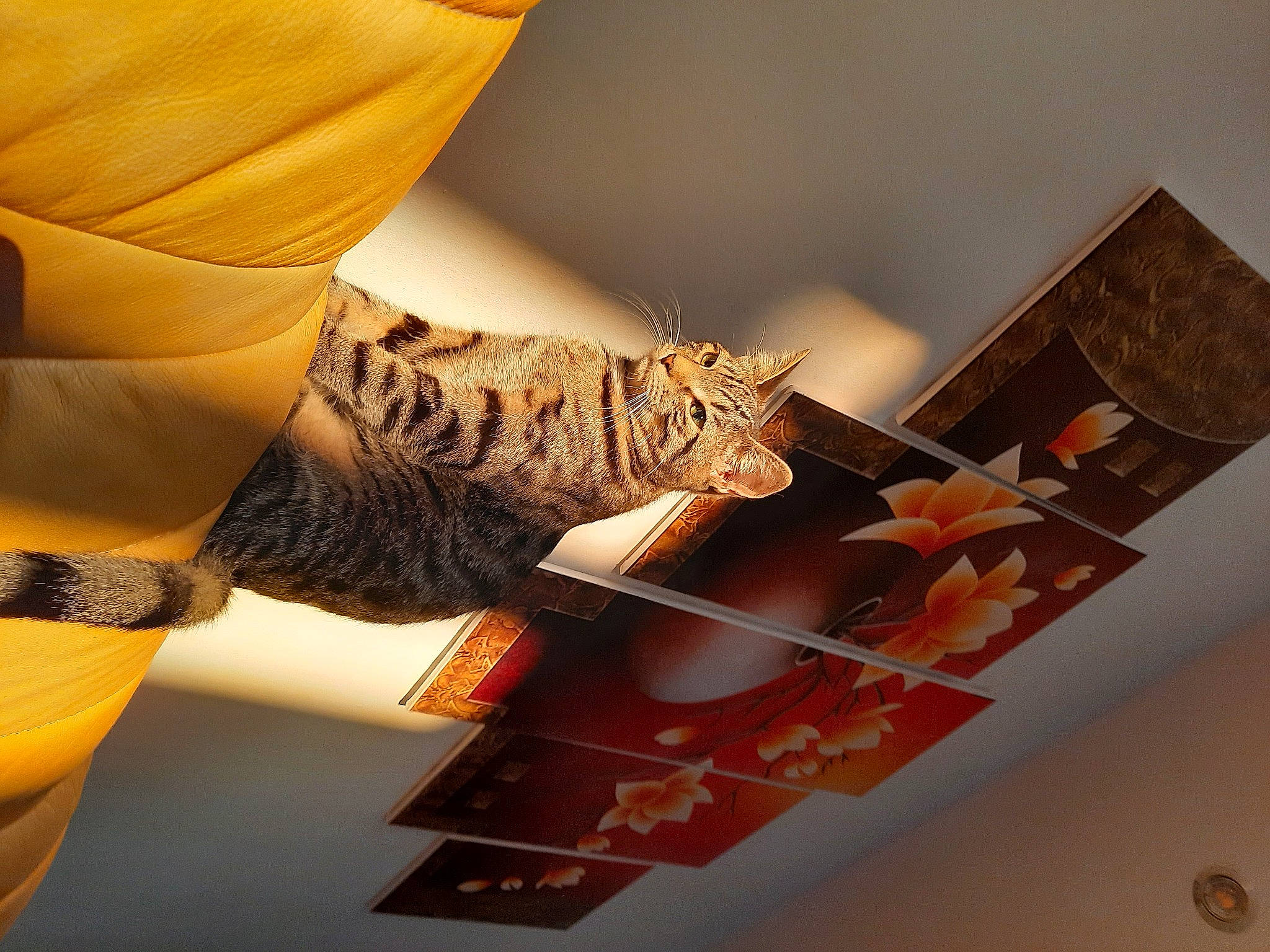 Saïko a rejoint le concours — aidez-le/la à gagner de superbes lots ! art, carmine, ceiling, finger, hand, human_leg, interior_design, linens, material_property, orange, paper, paper_product, pattern, peach, room, stairs, thigh, visual_arts, wing, wood