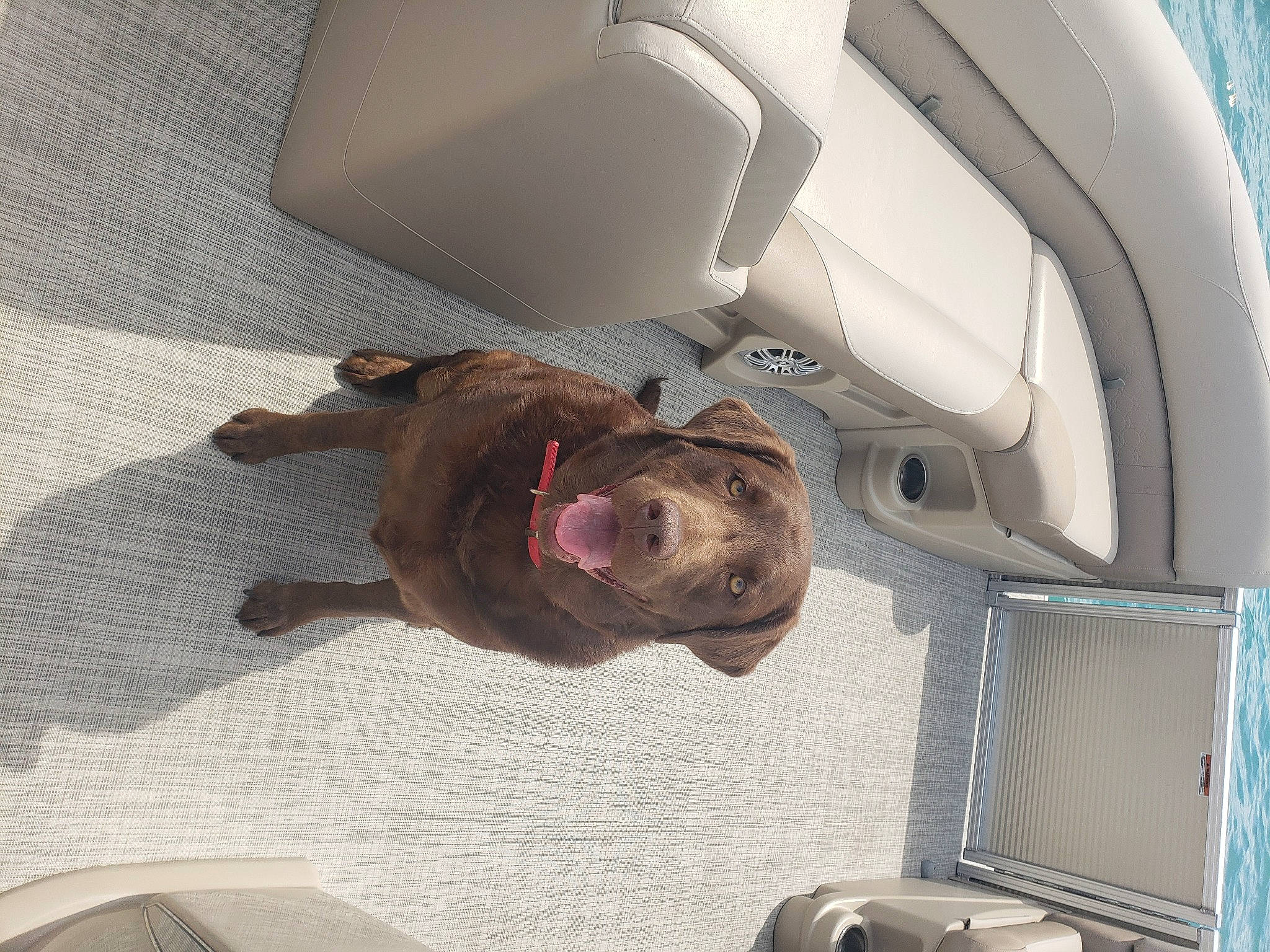 Memphis joined the competition — help win amazing prizes! auto_part, automotive_design, automotive_exterior, automotive_lighting, automotive_tire, automotive_wheel_system, car, comfort, family_car, flooring, hood, luxury_vehicle, motor_vehicle, personal_luxury_car, snout, trunk, vehicle, vehicle_door, window, wood