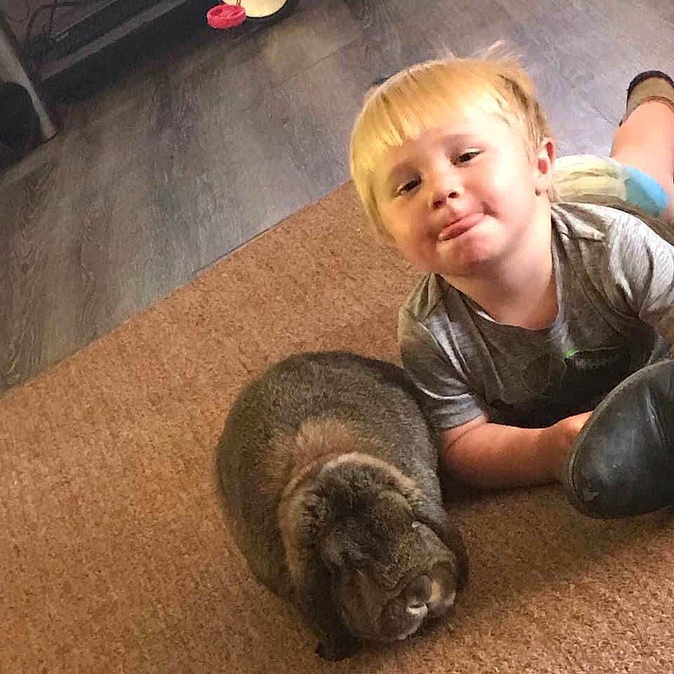 Deacon joined the competition — help win amazing prizes! child, domestic_rabbit, ear, fawn, marsupial, nose, person, rabbit, skin, toddler, wombat