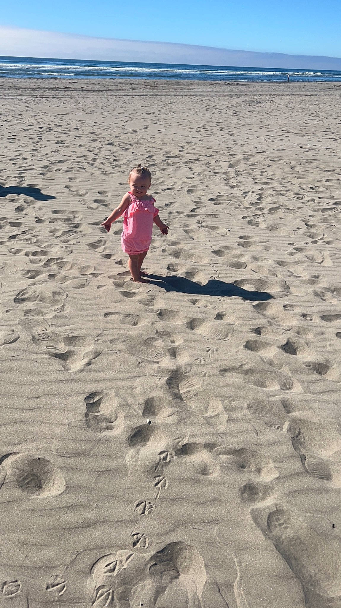 Journey is registered to the contest to win money with this photo: beach, beauty, body_of_water, ecoregion, fun, horizon, joy, landscape, light, morning, natural_environment, nature, people_in_nature, people_on_beach, person, photograph, sand, shore, sky, toddler