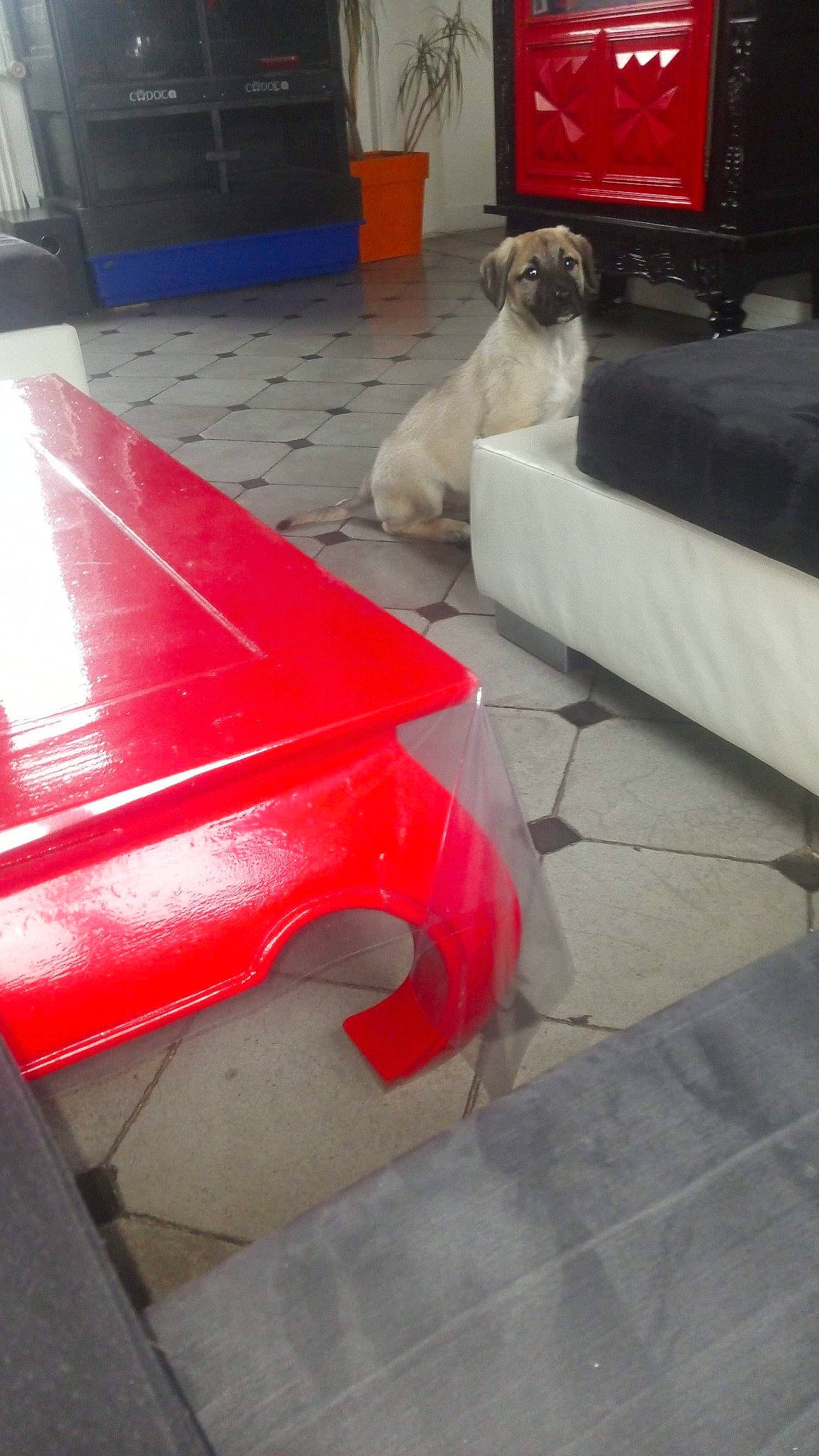 Daya a rejoint le concours — aidez-le/la à gagner de superbes lots ! automotive_exterior, car, chair, floor, flooring, table, vehicle