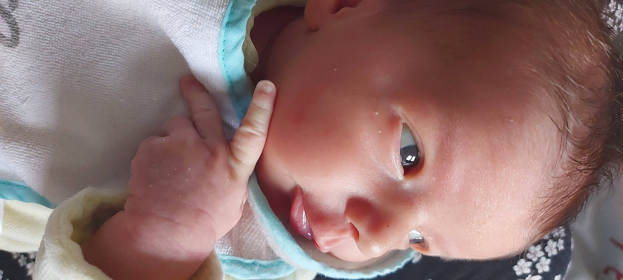 Daryl participe au concours pour gagner de l'argent avec cette photo : baby, cheek, child, chin, close_up, eye, eyebrow, eyelash, face, finger, forehead, gesture, hand, head, lip, mouth, muscle, nose, person, skin