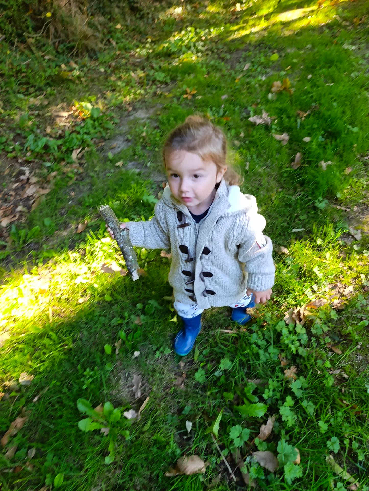 Saïd participe au concours pour gagner de l'argent avec cette photo : child, toddler, stick, forest, grass, leaves, boots, sweater, outdoor, nature, exploring, curious, greenery, sunlight, path, young_child, person, casual_clothing, daylight, adventure