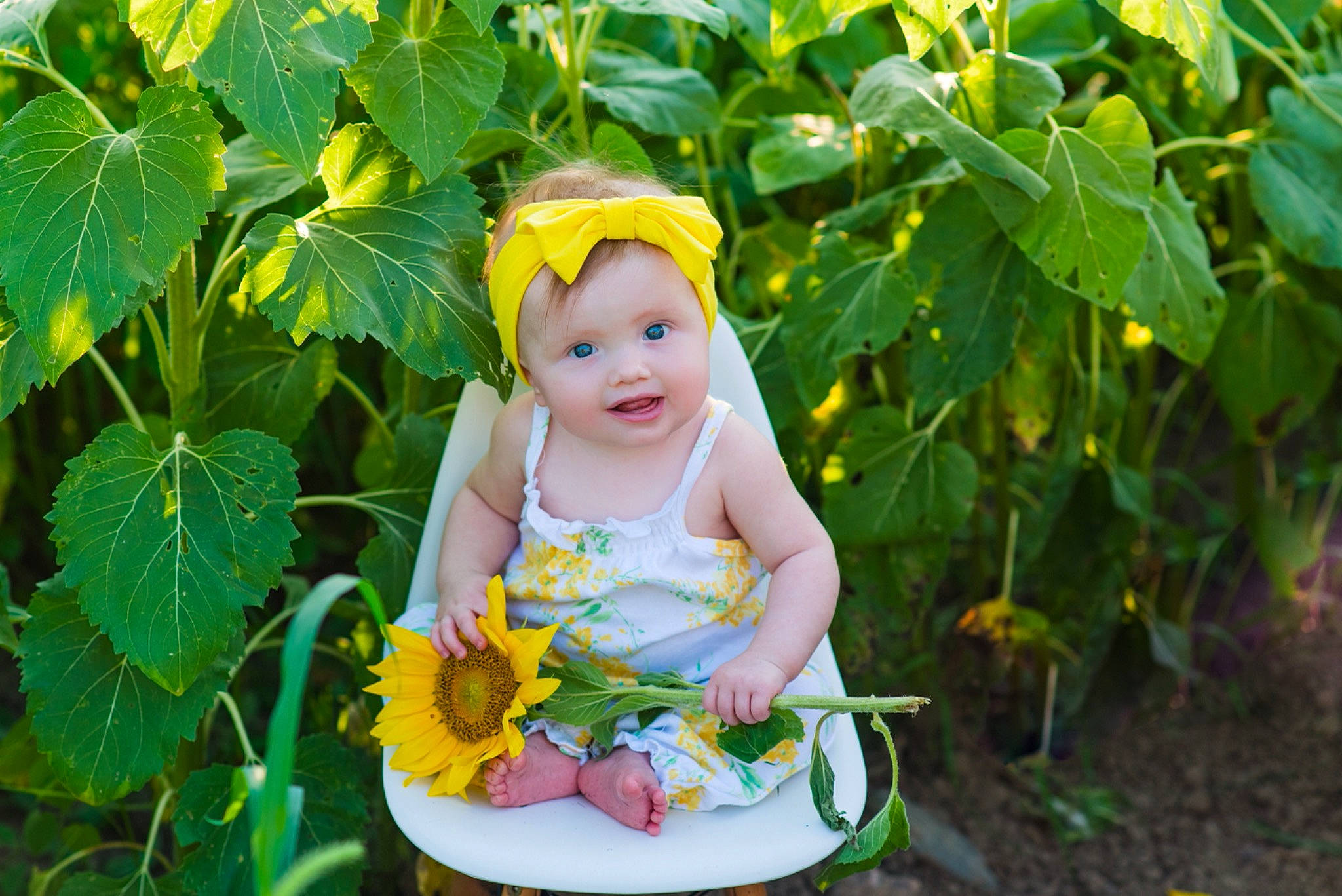 Quinn joined the competition — help win amazing prizes! baby, baby_toddler_clothing, beauty, botany, chair, child, flower, fun, grass, green, happy, headgear, headwear, joy, leaf, leisure, nature, people_in_nature, person, plant