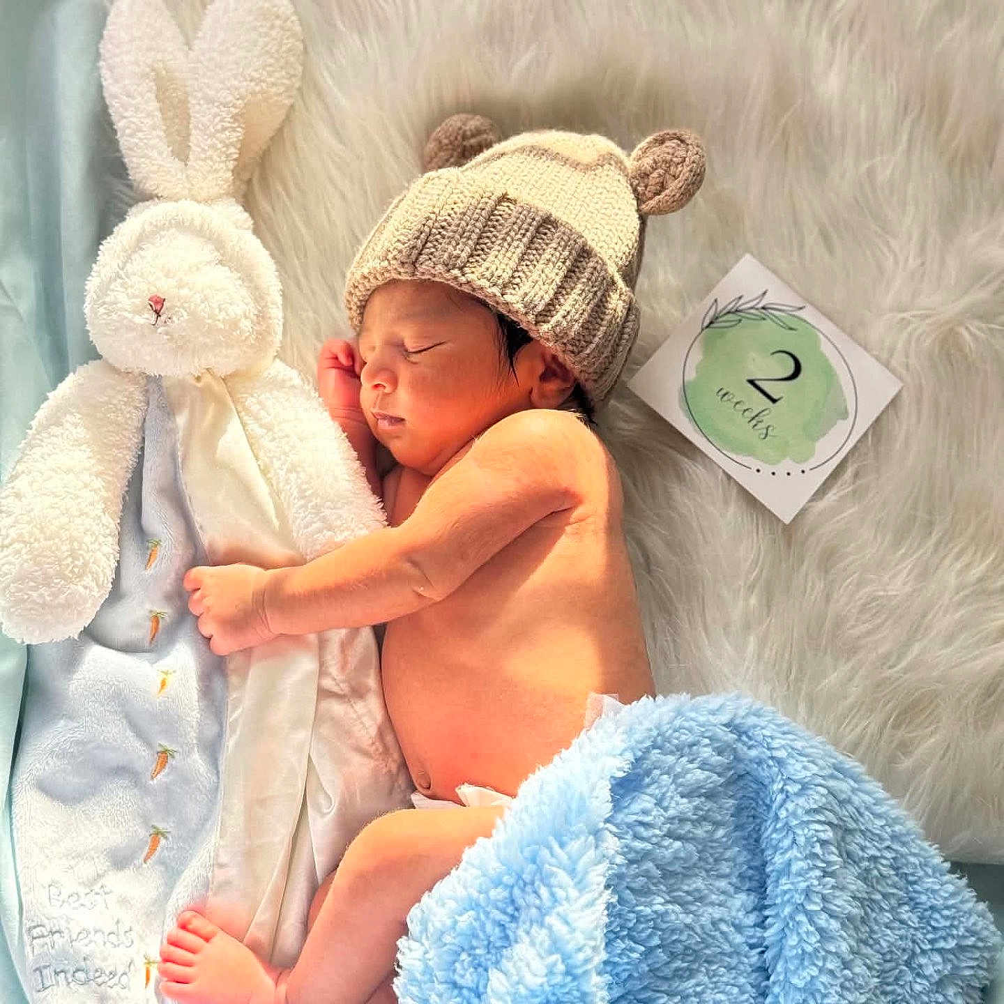 Kayan is registered to the contest to win money with this photo: newborn, baby, sleeping, infant, portrait, bear_hat, knit_hat, plush_bunny, stuffed_animal, blanket, blue_blanket, furry_bedding, milestone_card, nursery, cozy, lying_down, peaceful, cute, indoor, photography