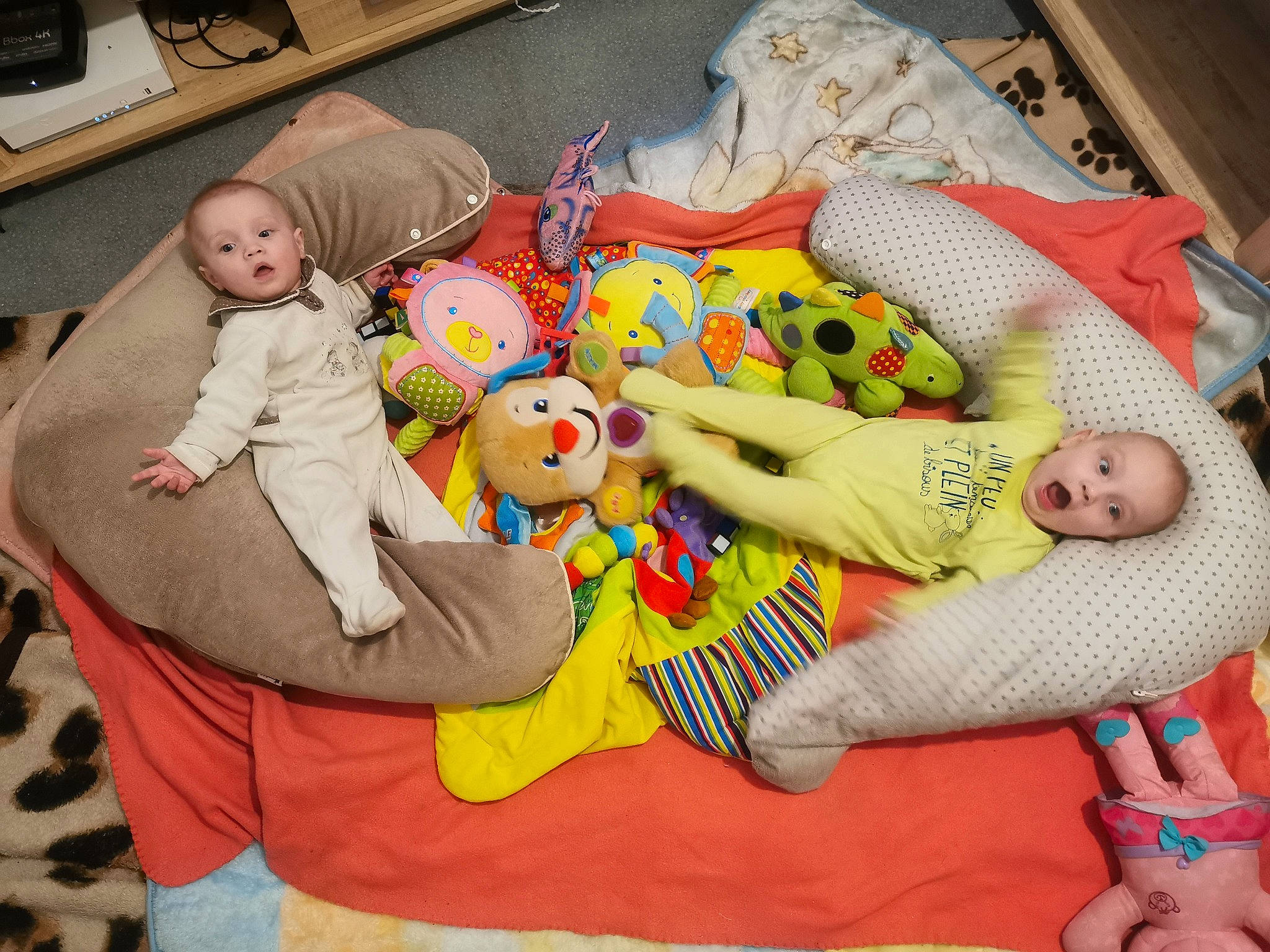 Octavia participe au concours pour gagner de l'argent avec cette photo : baby, baby_products, baby_toys, bedtime, child, person, play, playmat, plush, room, stuffed_toy, surprise, textile, toddler, toy