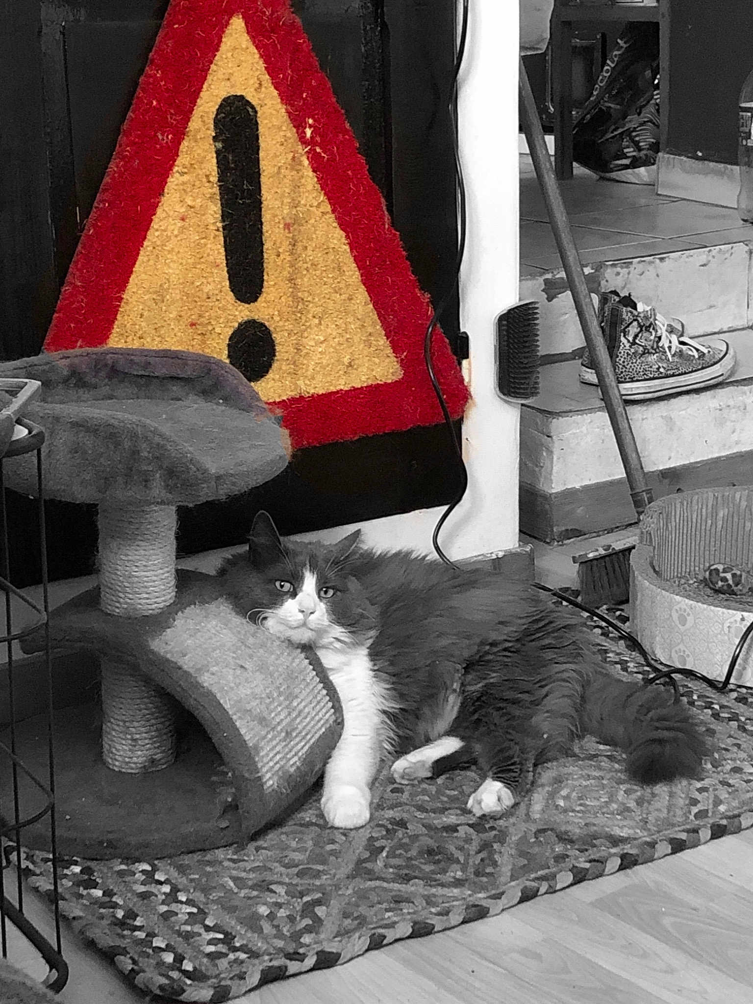 Stone participe au concours pour gagner de l'argent avec cette photo : art, black_and_white, cat, felidae, kitten, lampshade, lighting_accessory, small_to_medium_sized_cats, tail