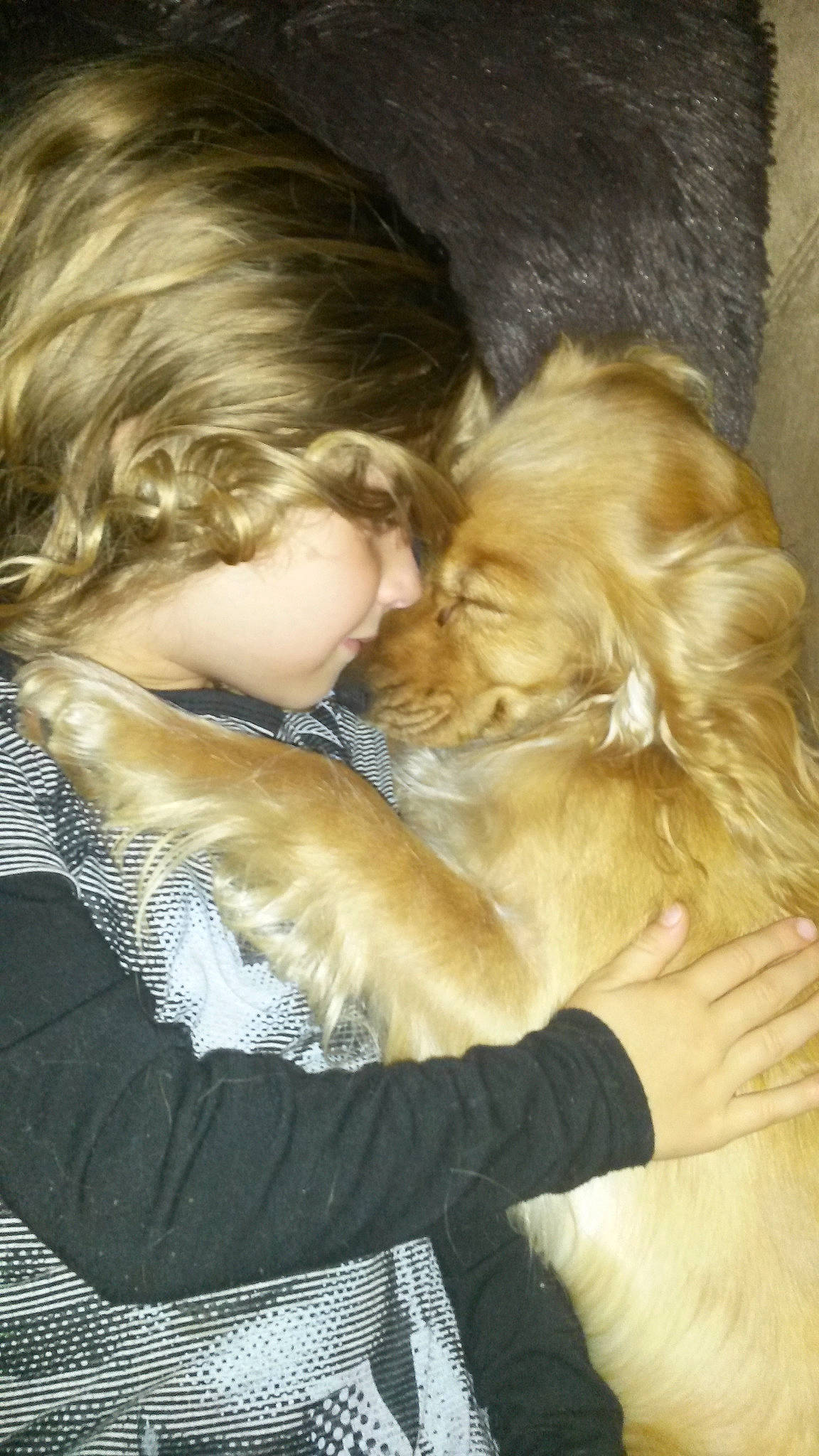 Irma participe au concours pour gagner de l'argent avec cette photo : blond, canidae, carnivore, child, companion_dog, dog, dog_breed, fawn, fur, gesture, interaction, long_hair, puppy, puppy_love, sporting_group