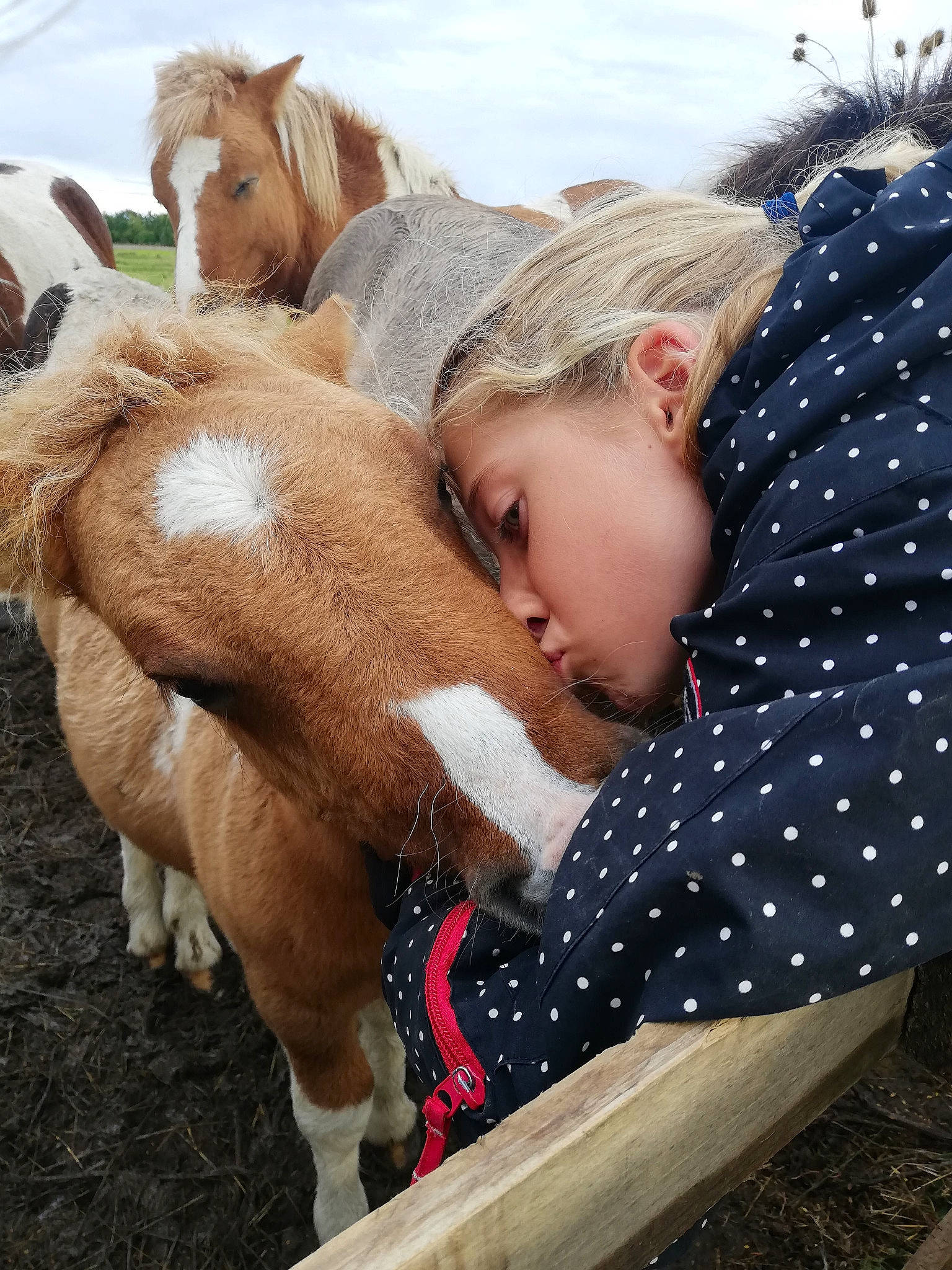Charli a rejoint le concours — aidez-le/la à gagner de superbes lots ! blond, child, eye, foal, fun, hair, happy, horse, interaction, livestock, mane, mare, nose, photography, plant, pony, snout, sorrel