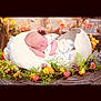 Autumn Bolding is registered to the contest to win money with this photo: baby, newborn, sleeping, eggshell, flowers, floral_wreath, greenery, cute, infant, resting, soft_lighting, portrait, props, spring, nature, peaceful, decorative, child, adorable, studio_photo