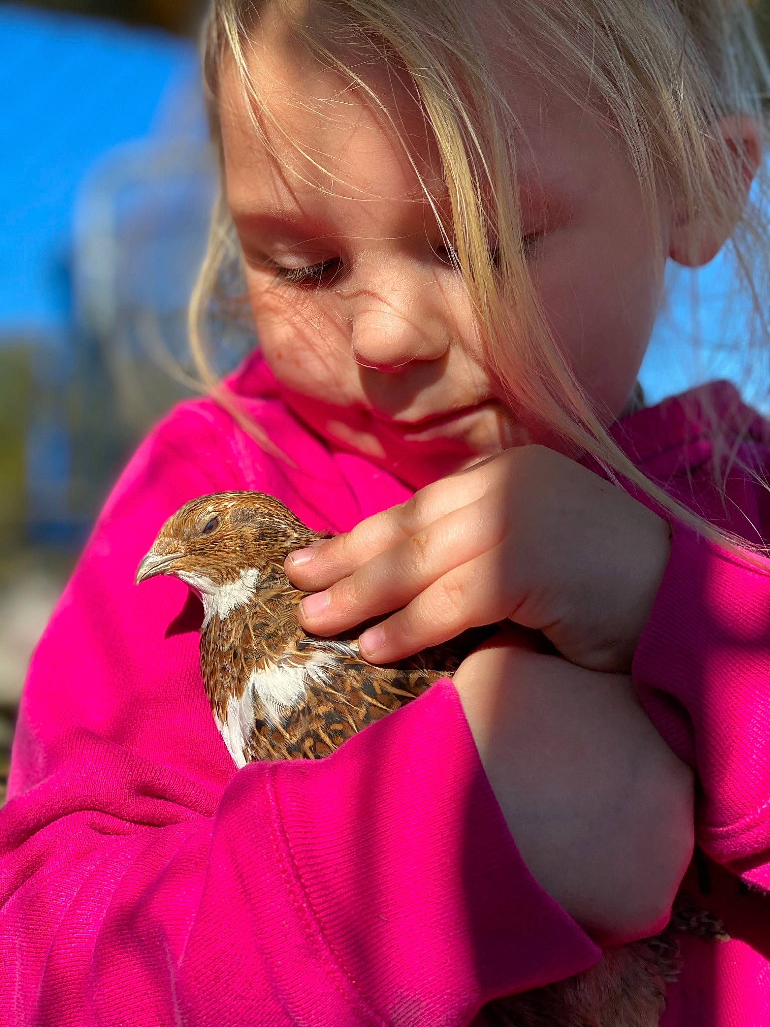 Caleigh is registered to the contest to win money with this photo: adaptation, baby, beak, bird, blond, brown_hair, chicken, child, fowl, galliformes, livestock, nail, organ, person, phasianidae, pink, poultry, skin, toddler, vertebrate