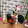 dog, person_in_costume, easter_bunny, petco, backdrop, costume, indoor, floor, decorations, bunny_ears, orange_shirt, chain_leash, table, green_cloth, large_egg, pink_bunny, yellow_bunny, white_statues, celebration, festive