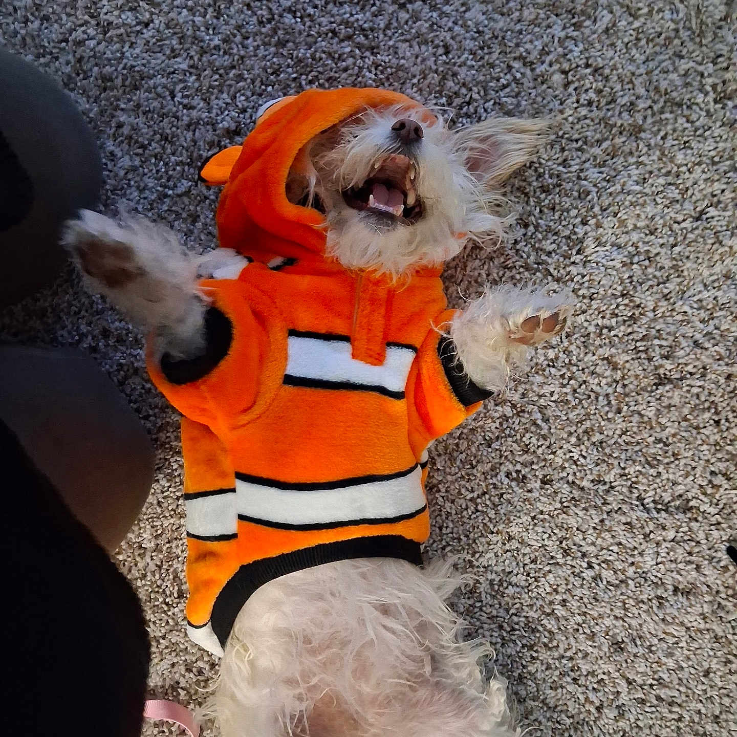 Winnie