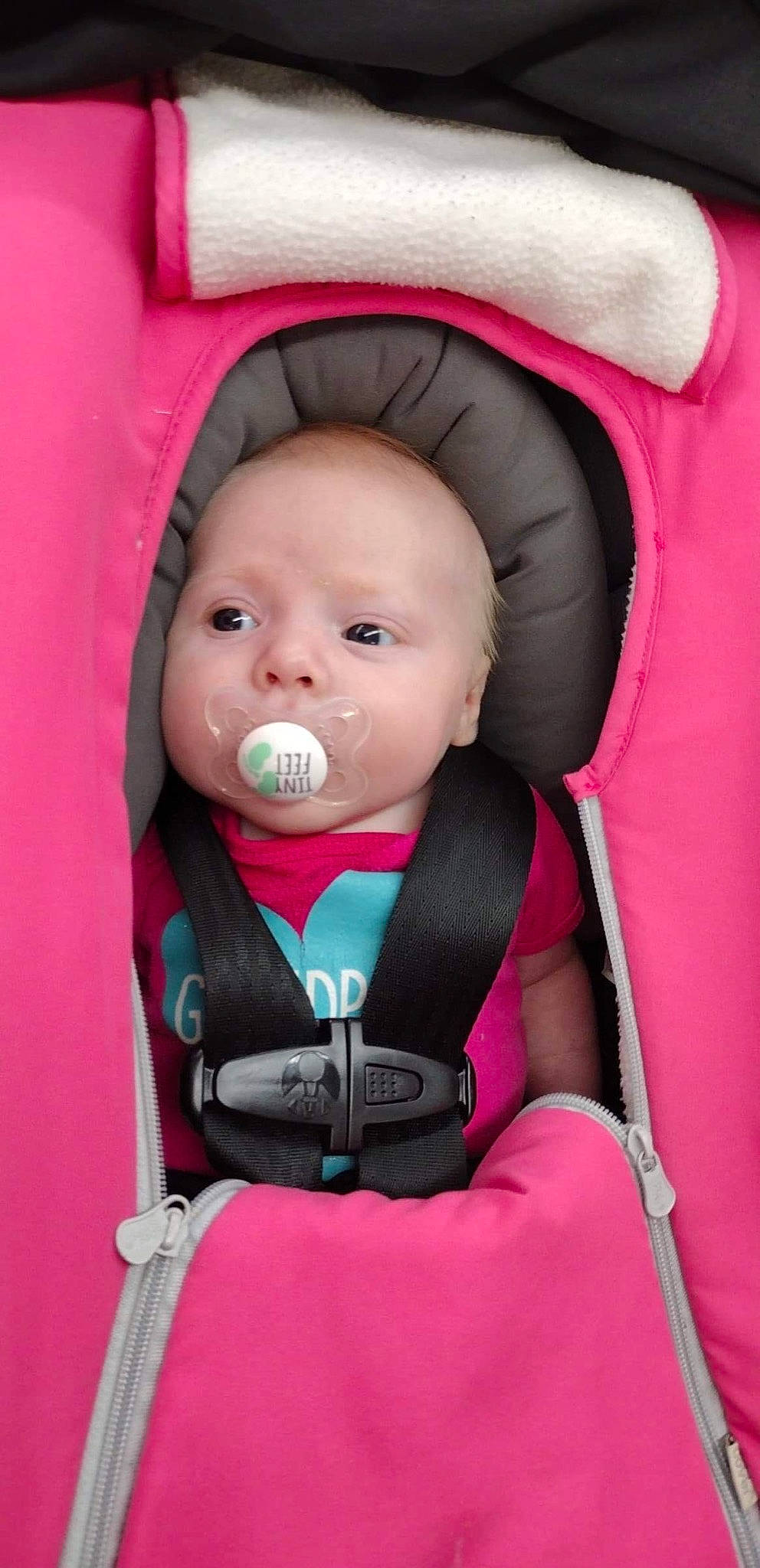Katie joined the competition — help win amazing prizes! auto_part, baby, baby_carriage, baby_products, baby_safety, baby_toddler_clothing, car_seat, cheek, child, comfort, eye, face, fun, iris, magenta, person, pink, product, seat_belt, skin