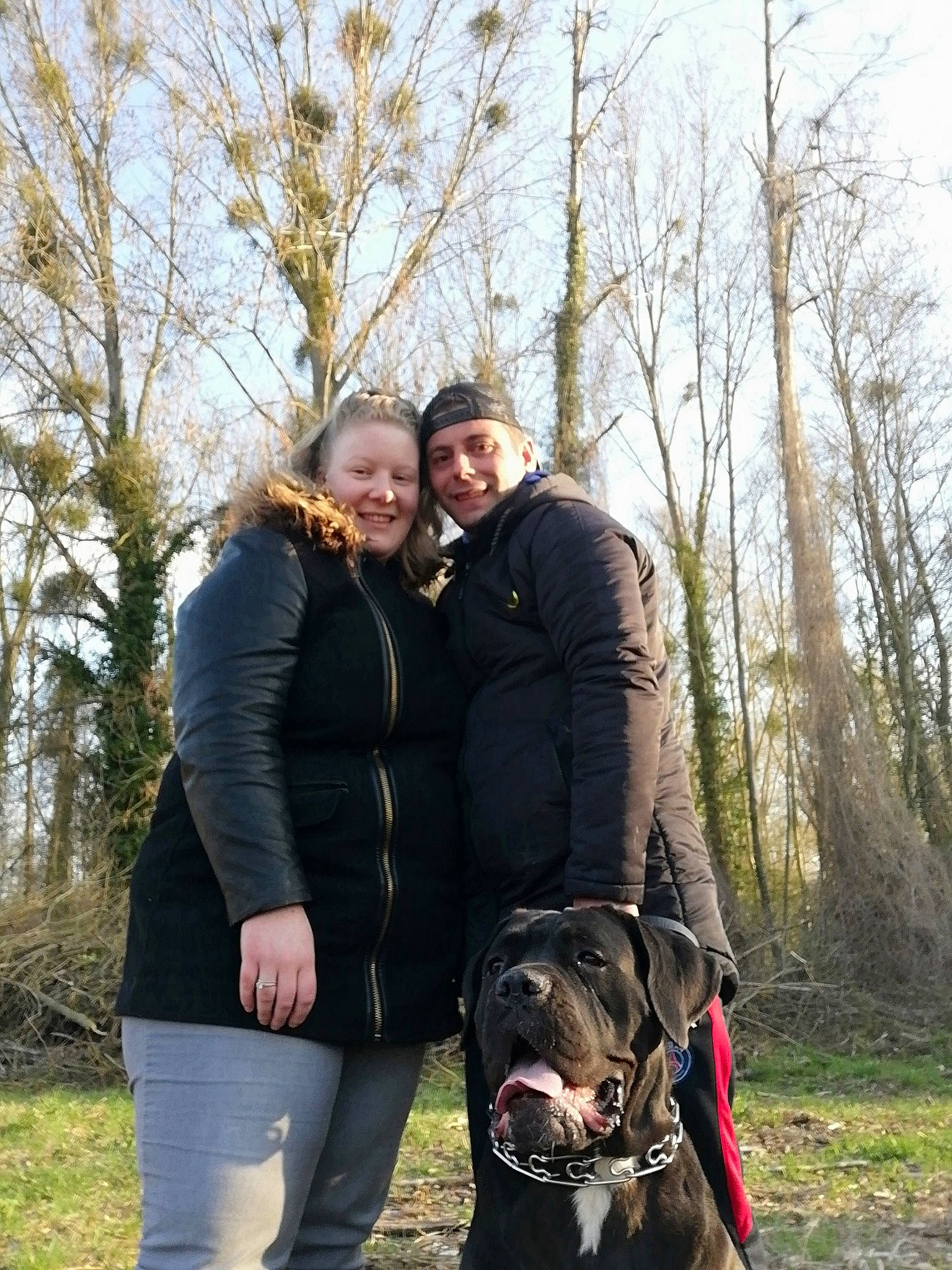 Kira a rejoint le concours — aidez-le/la à gagner de superbes lots ! adventure, american_staffordshire_terrier, bandog, cane_corso, canidae, carnivore, dog, dog_breed, dog_walking, guard_dog, joy, perro_de_presa_canario, person, sporting_group, tree, woodland