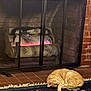 Loulou is registered to the contest to win money with this photo: cat, ginger_cat, sleeping_cat, curled_up, fireplace, fireplace_screen, rug, tile_floor, brick_wall, cozy, nap, pet, living_room, fur, warmth, home_interior, heater, relaxing, domestic_scene, sleeping