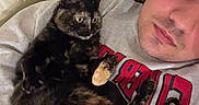 Stella joined the competition — help win amazing prizes! person, cat, tortoiseshell_cat, indoor, couch, blanket, casual_clothing, face, pet, relaxing, cozy, resting, curious, closeup, human_animal_interaction, home, comfort, fur, portrait, laying_down