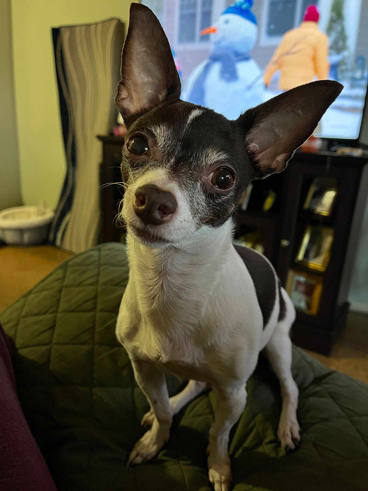 Pebbles
