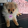 Boonty participe au concours pour gagner de l'argent avec cette photo :