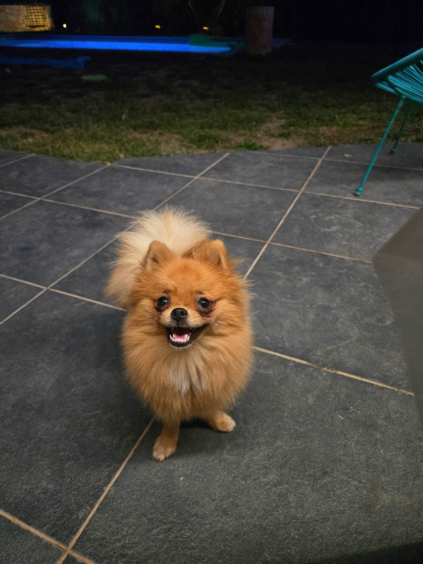 Boonty