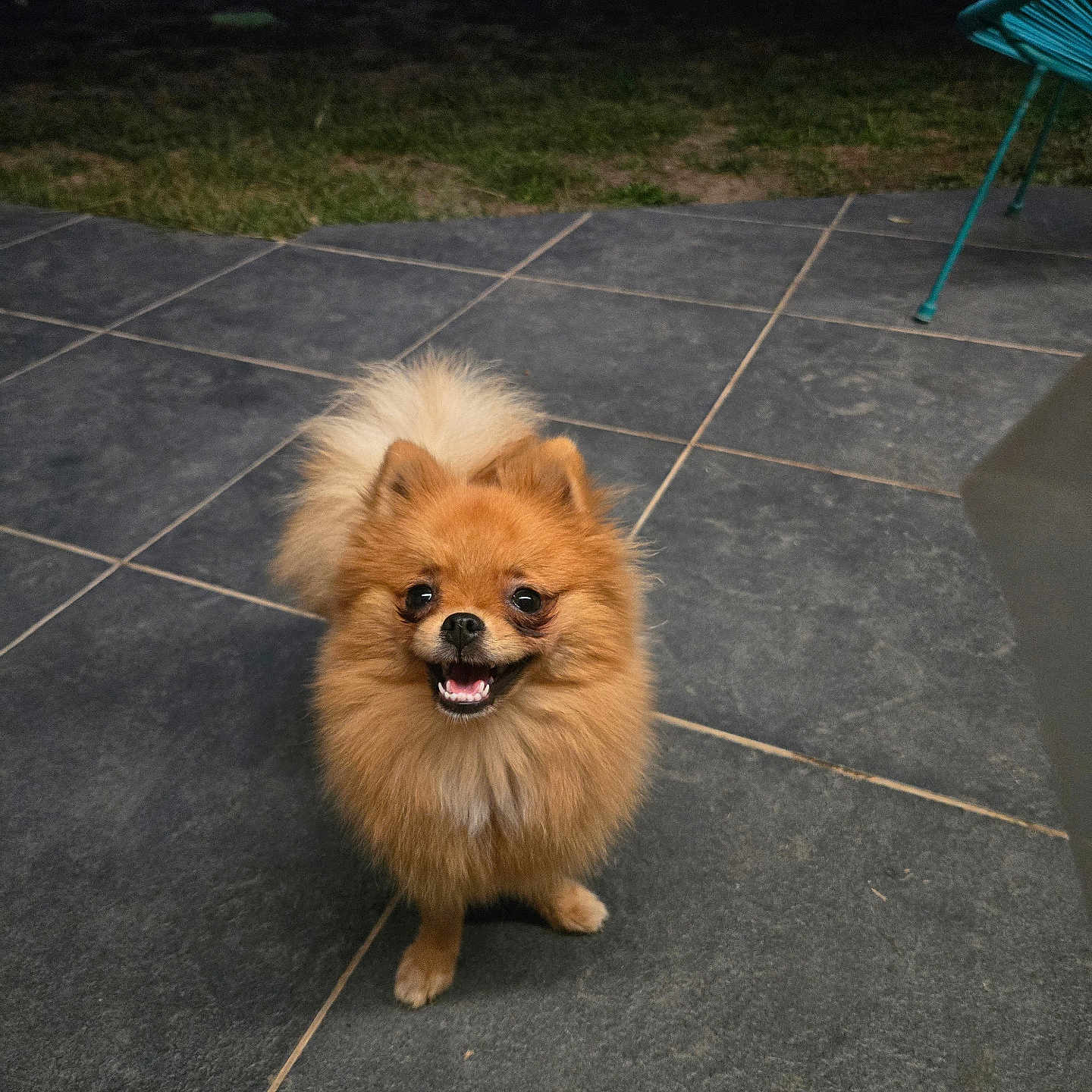 Boonty
