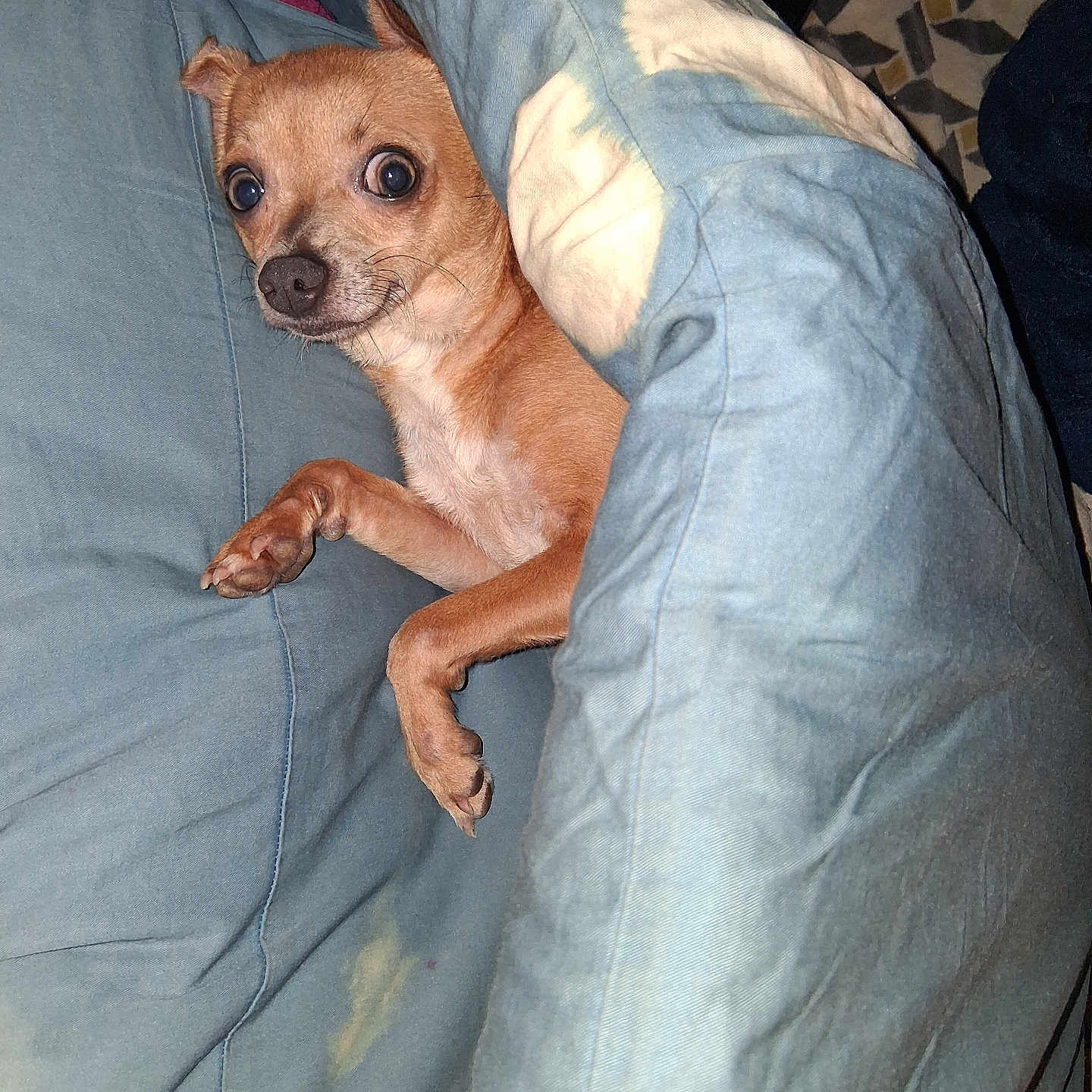 Charlie