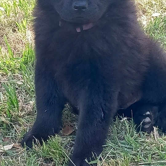 Bruce Wayne