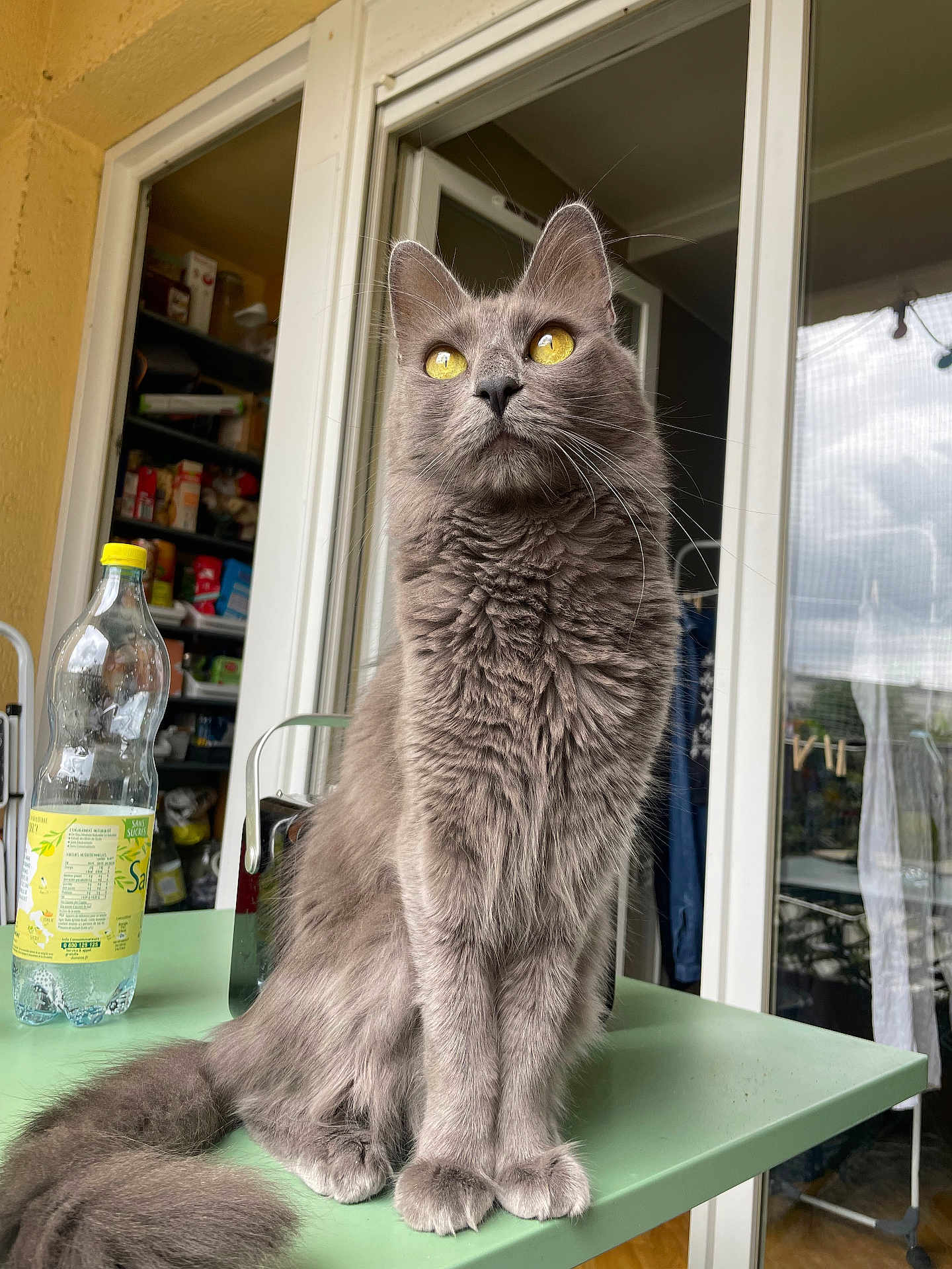 Tim