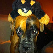 Gaïa participe au concours pour gagner de l'argent avec cette photo :