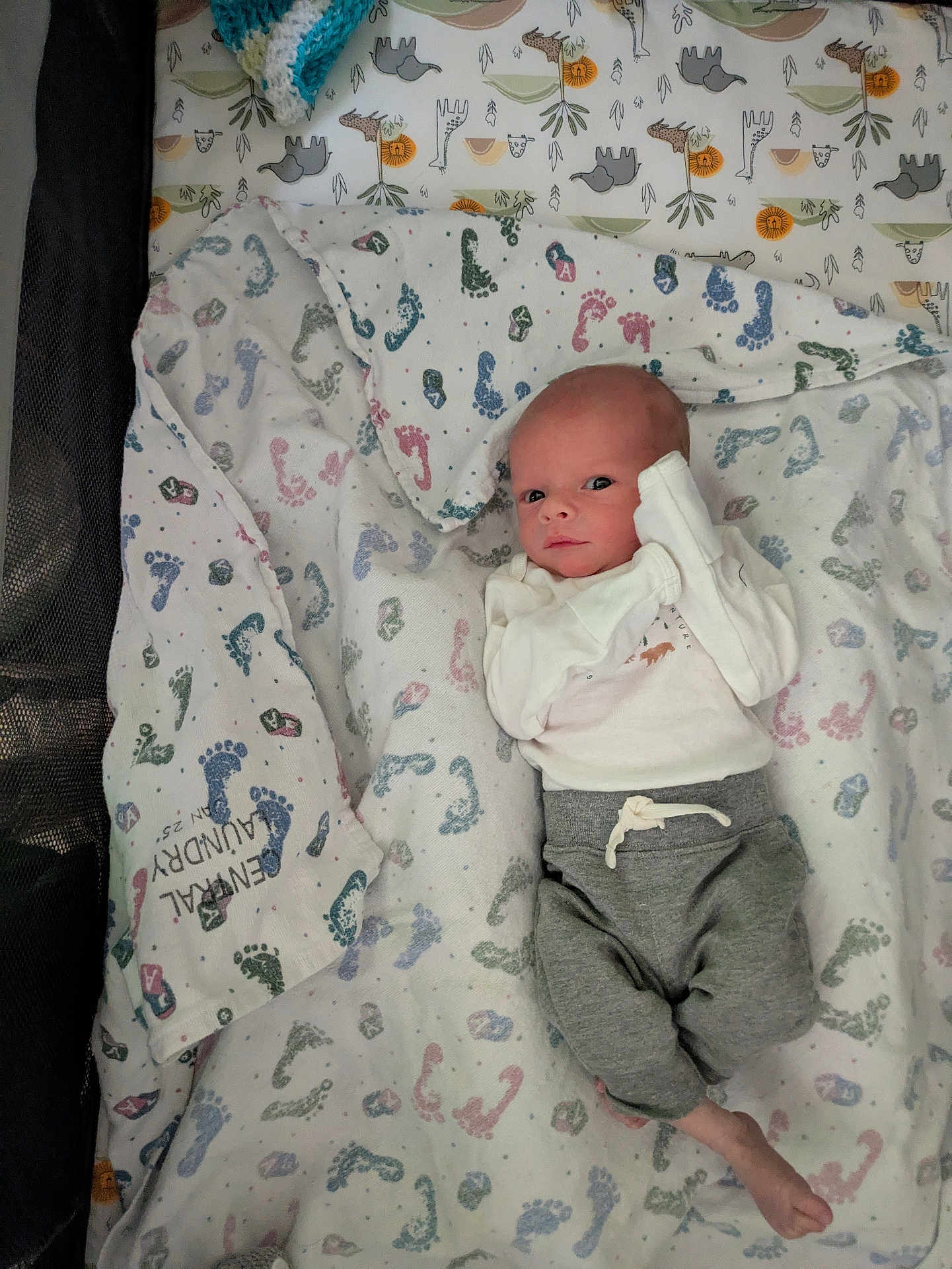 Adam joined the competition — help win amazing prizes! baby, infant, blanket, footprint_pattern, clothing, white_shirt, gray_pants, face, lying_down, crib, soft_texture, animal_print, cute, newborn, person, indoors, sleeping_area, baby_bedding, small_hands, baby_foot