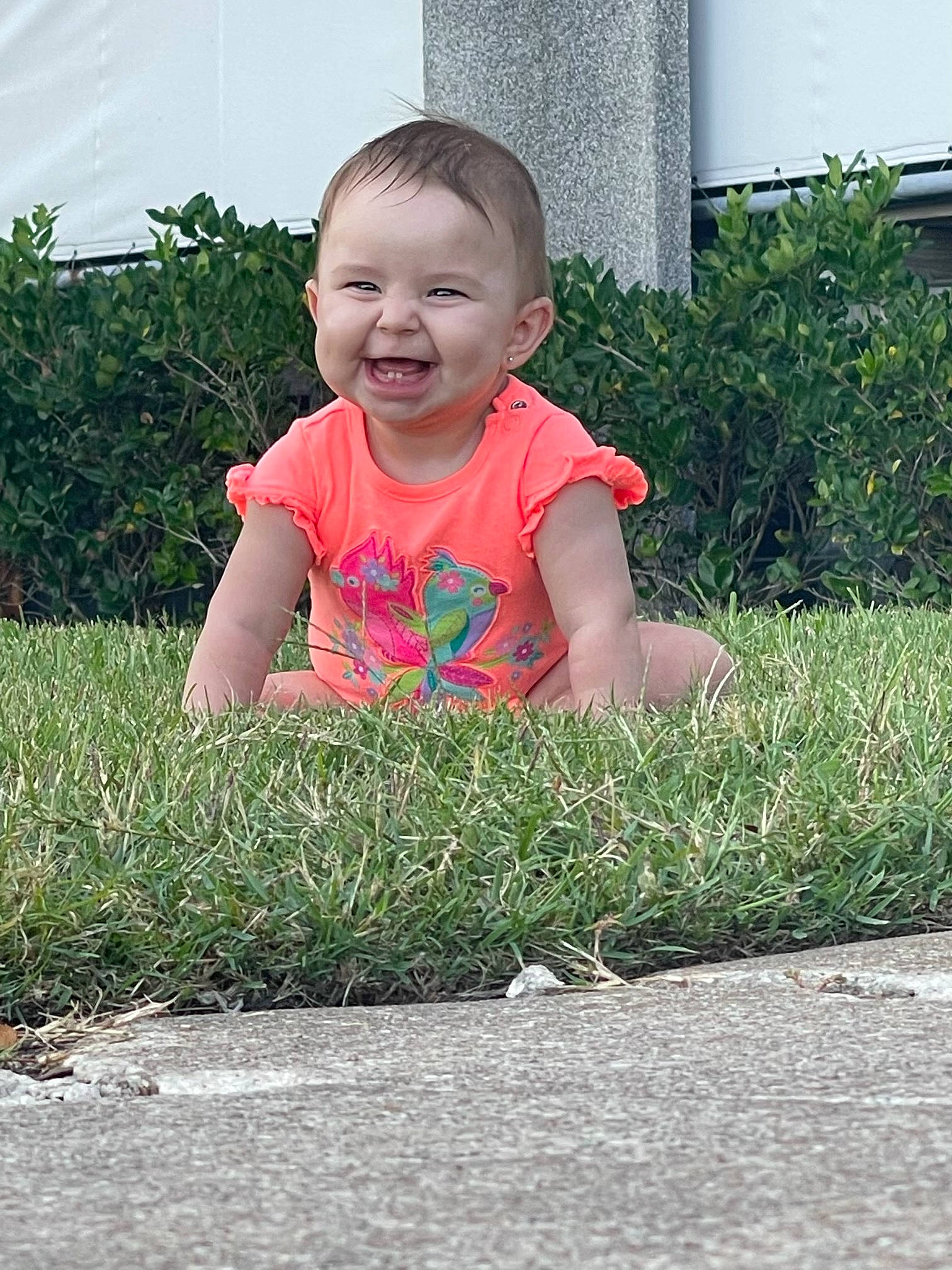 Emersyn is registered to the contest to win money with this photo: asphalt, baby, baby_toddler_clothing, child, clothing, crawling, fun, grass, hairstyle, happy, head, lawn, leisure, people_in_nature, person, plant, road_surface, smile, standing, summer