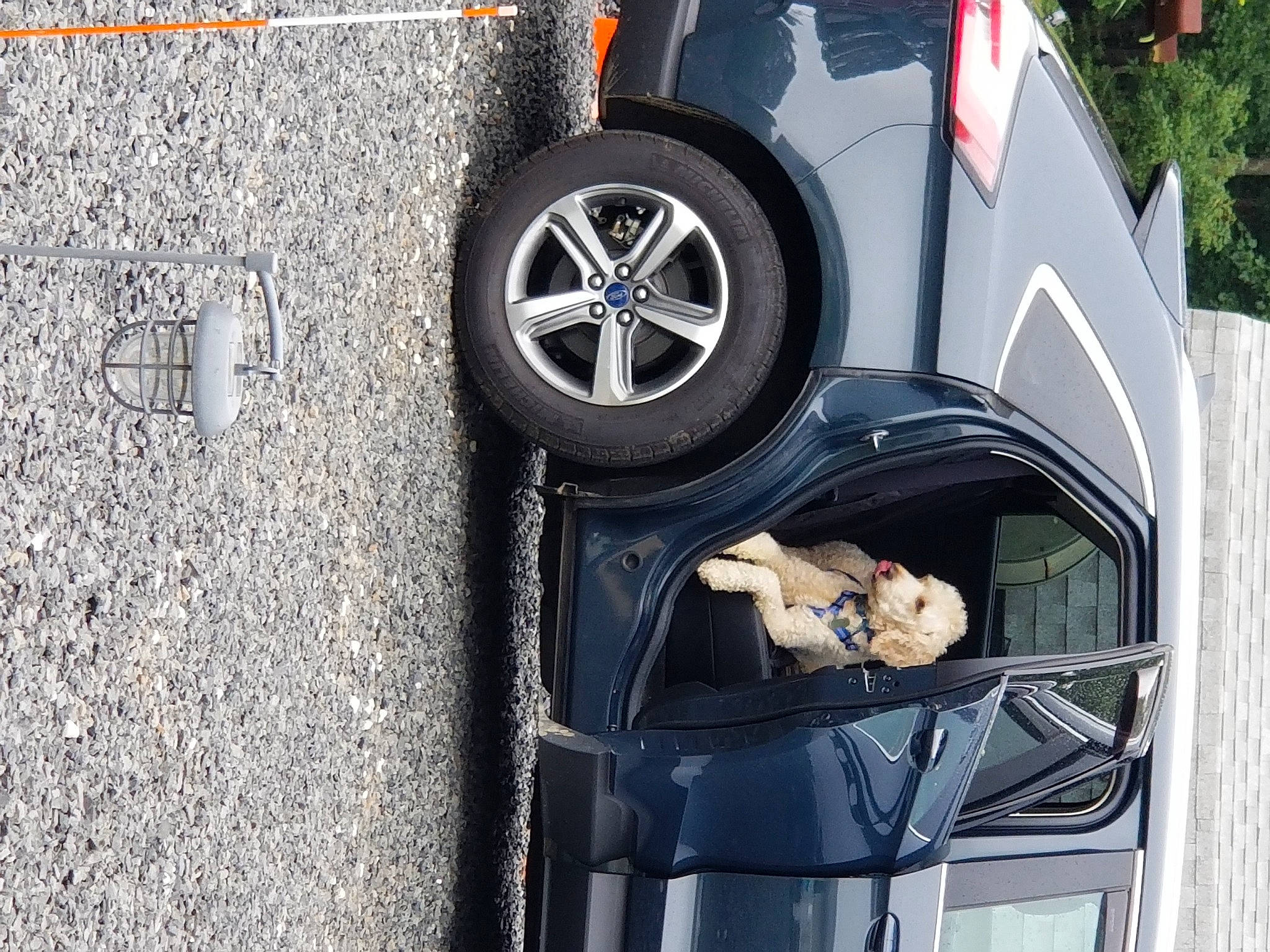 Gunny is registered to the contest to win money with this photo: alloy_wheel, auto_part, automotive_exterior, automotive_tire, automotive_wheel_system, car, city_car, compact_mpv, hatchback, hubcap, minivan, rim, tire, tire_care, vehicle, vehicle_door, wheel