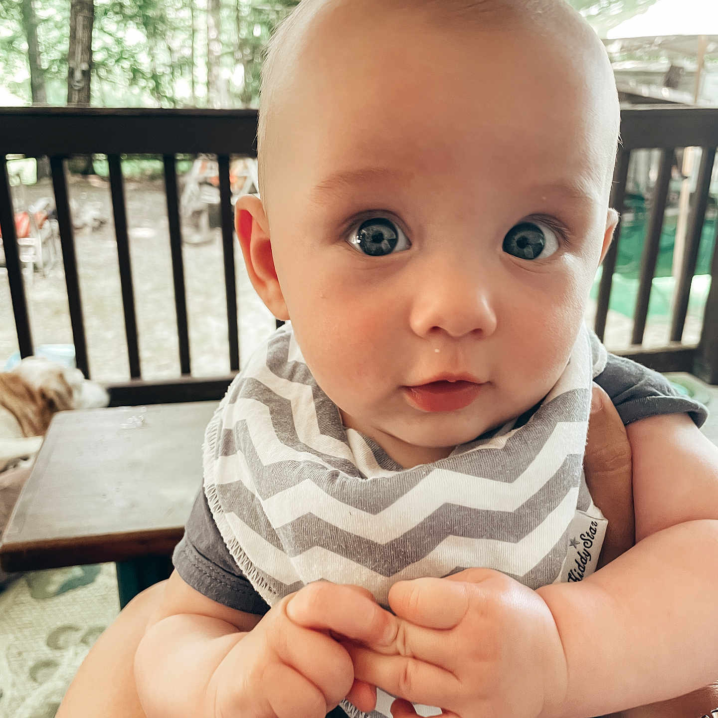 Jameson joined the competition — help win amazing prizes! baby, bodypart, clothing, couch, face, finger, frown, furniture, hand, handrail, happy, head, person, photography, portrait, railing, sad, scarf, sitting, smile