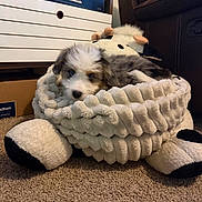 Penny joined the competition — help win amazing prizes! puppy, dog, plush_bed, soft_toy, carpet, indoor, furniture, board_game, cozy, sleepy, pet, animal, brown, white, black, small, cute, resting, carpeted_floor, stuffed_animal