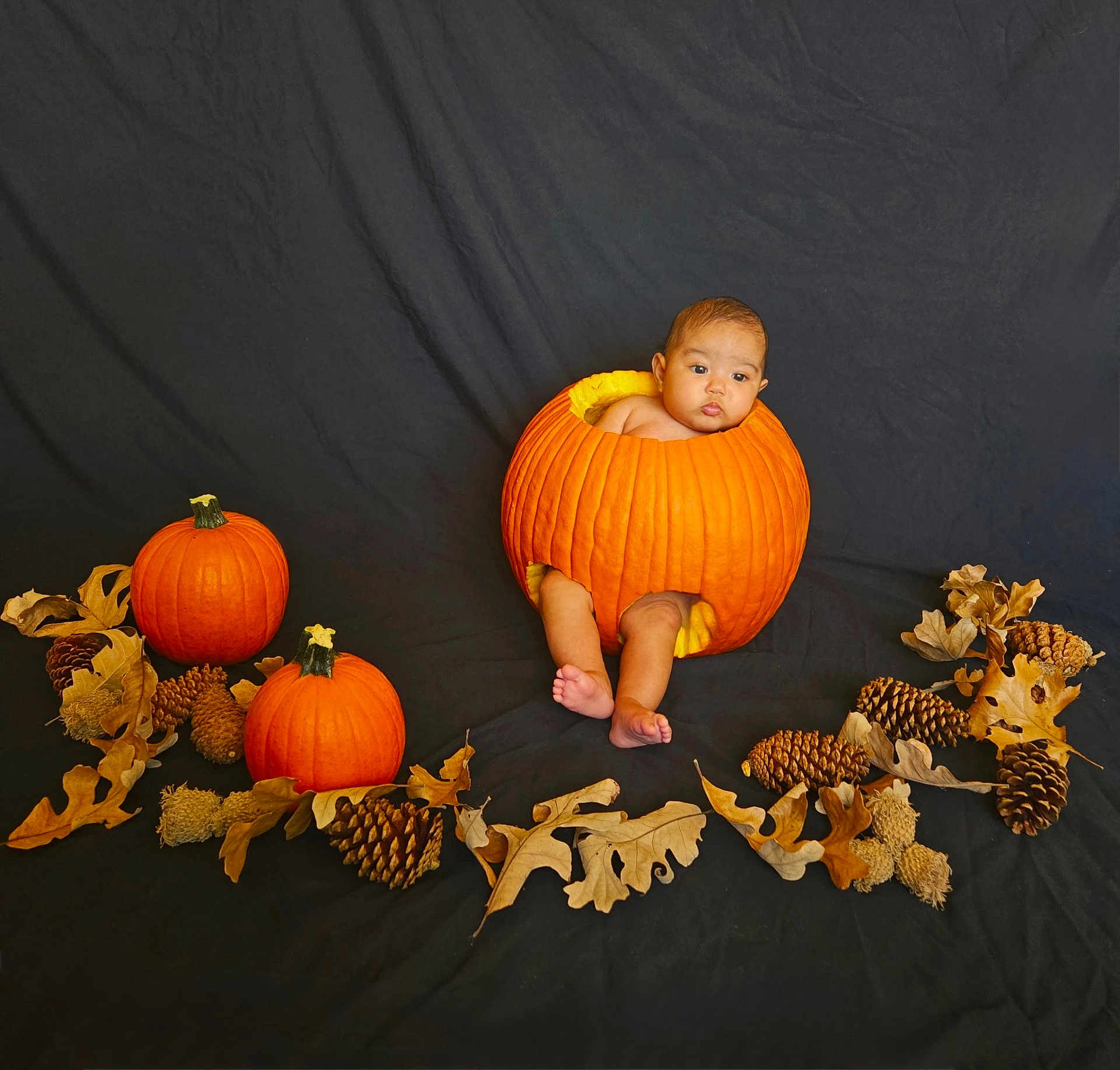 Aaliyah joined the competition — help win amazing prizes! baby, pumpkin, fall, autumn, pine_cones, leaves, orange, black_background, cute, child, seasonal, holiday, portrait, nature, decoration, sitting, inside, harvest, festive, cozy