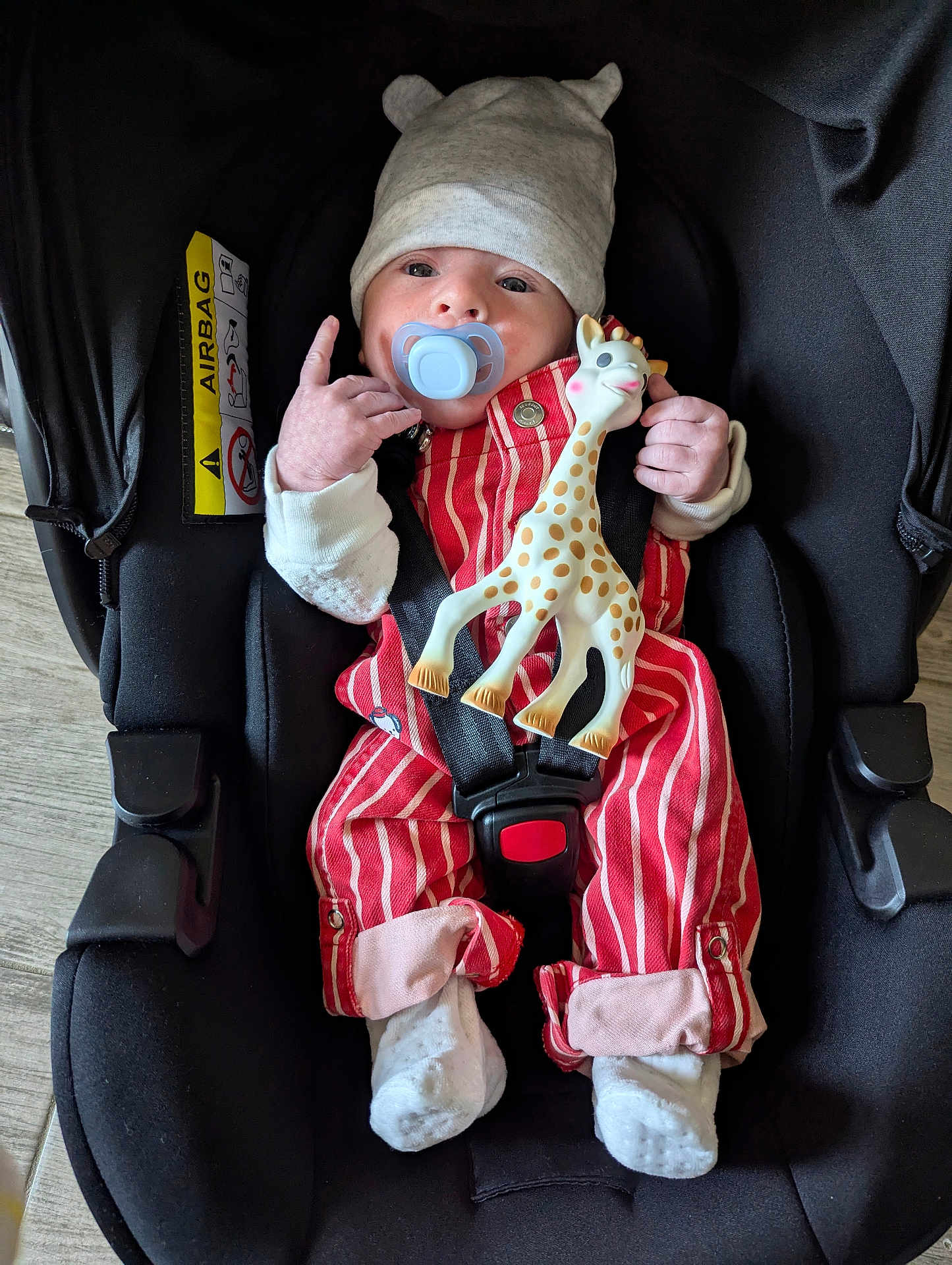Leo participe au concours pour gagner de l'argent avec cette photo : baby, infant, car_seat, pacifier, hat, toy, giraffe_toy, striped_clothing, white_socks, cute, child, indoors, seatbelt, hand_gesture, newborn, smiling, cuddly, soft_toy, red_clothing, black_car_seat