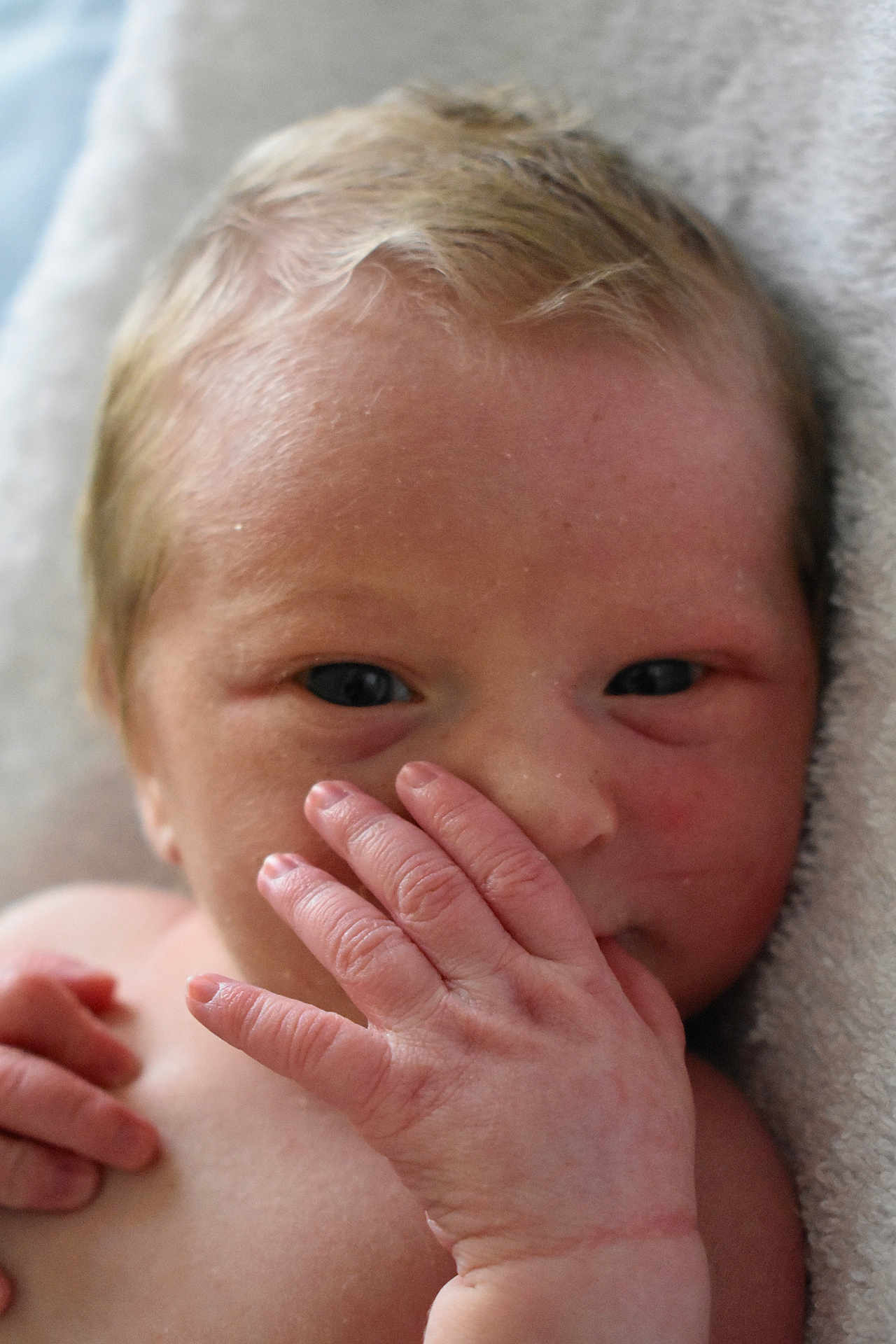 Josiah joined the competition — help win amazing prizes! baby, newborn, closeup, hand, face, skin, blonde_hair, infant, portrait, cute, soft_light, towel, newborn_skin, small_fingers, sleepy, wrapped, child, person, baby_hand, expression