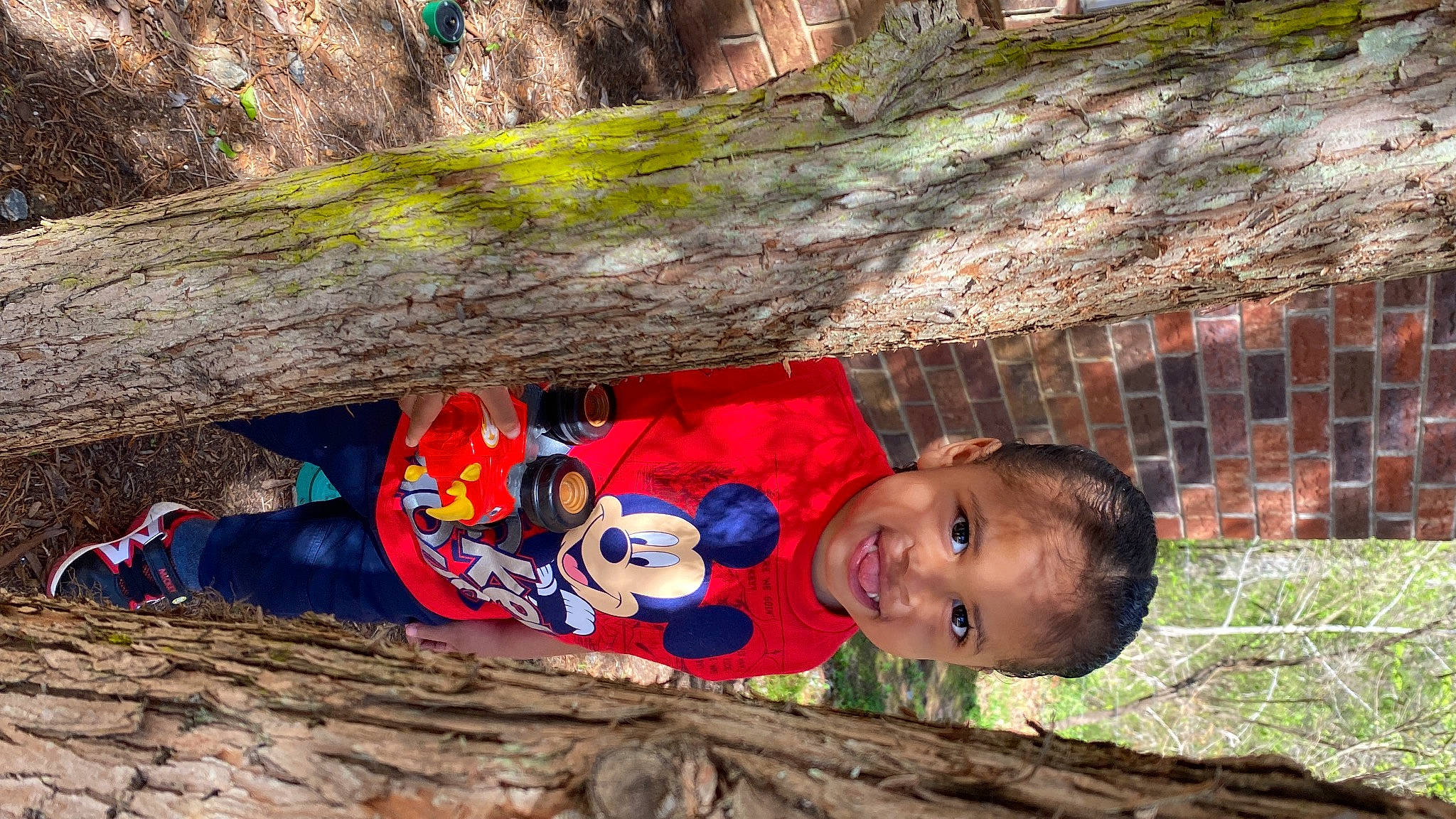 Marcus is registered to the contest to win money with this photo: adventure, child, fun, grass, happy, hat, joy, leaf, leisure, people_in_nature, person, plant, recreation, rock, smile, soil, spring, toddler, tree, trunk