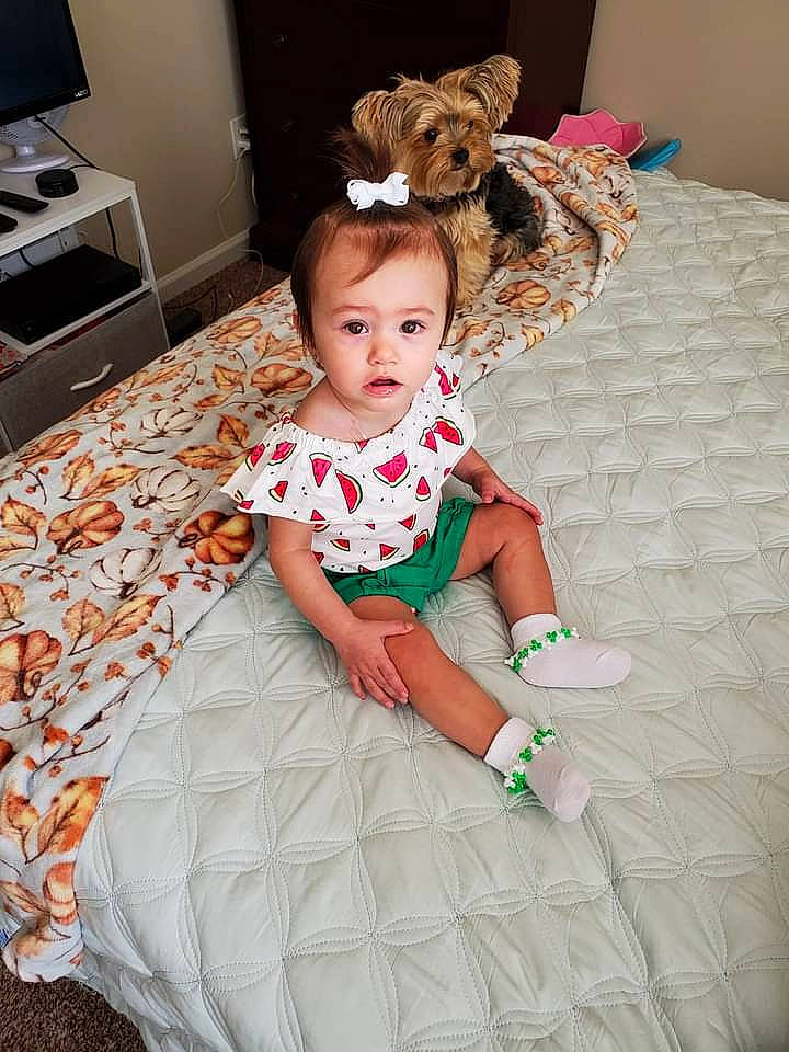 Harlow joined the competition — help win amazing prizes! baby_toddler_clothing, child, comfort, dress, floor, flooring, fun, happy, home_appliance, linens, mammal, pattern, person, pink, sitting, sleeve, television, textile, toddler, vertebrate