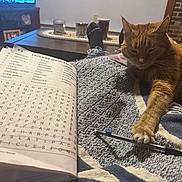 Jerry joined the competition — help win amazing prizes! cat, orange_tabby, blanket, pen, book, proofreading, workbook, table, candle, living_room, floor, photoframe, television, brick_wall, cozy, indoor, relaxed, paw, text, writing