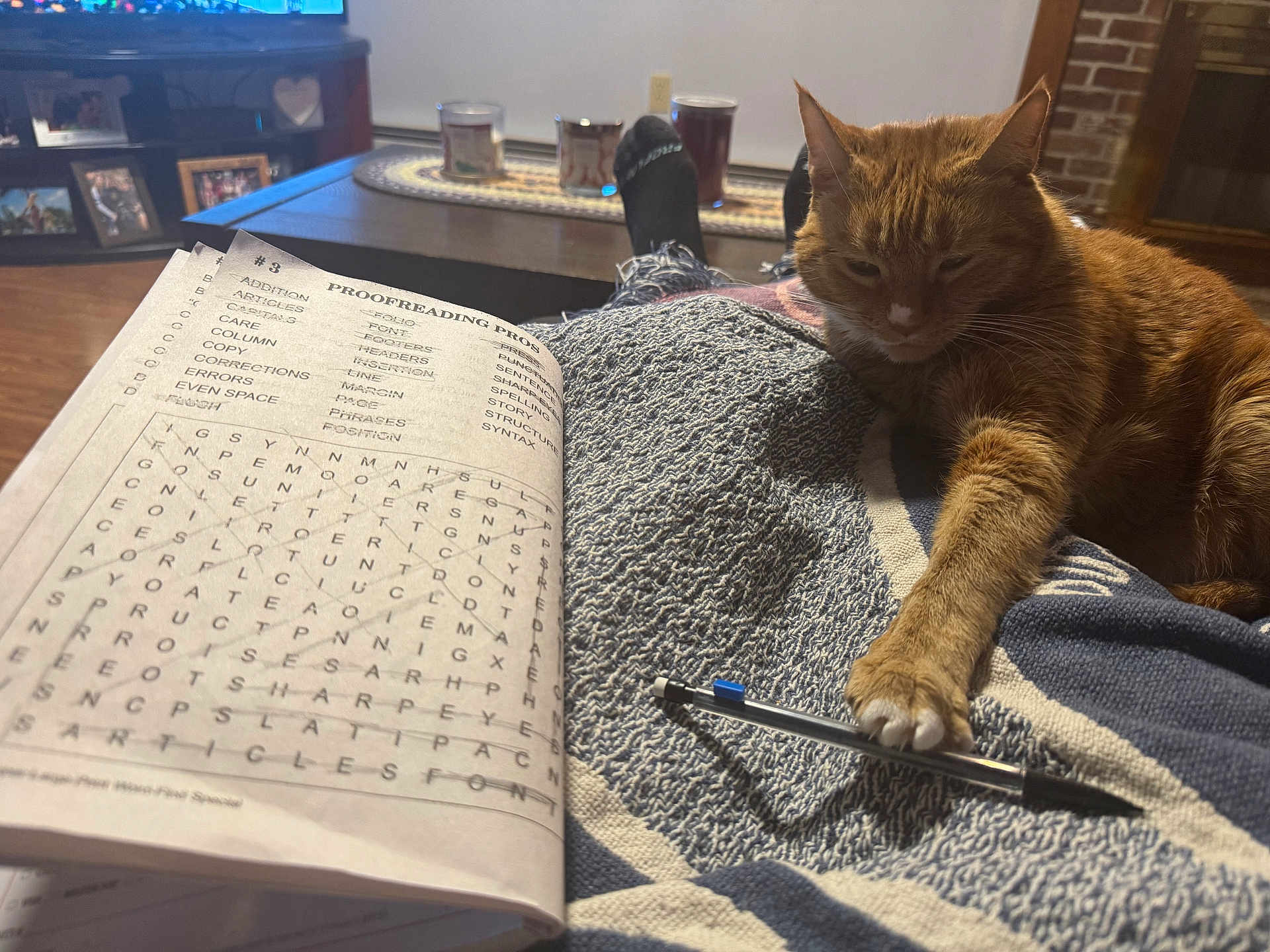Jerry joined the competition — help win amazing prizes! cat, orange_tabby, blanket, pen, book, proofreading, workbook, table, candle, living_room, floor, photoframe, television, brick_wall, cozy, indoor, relaxed, paw, text, writing