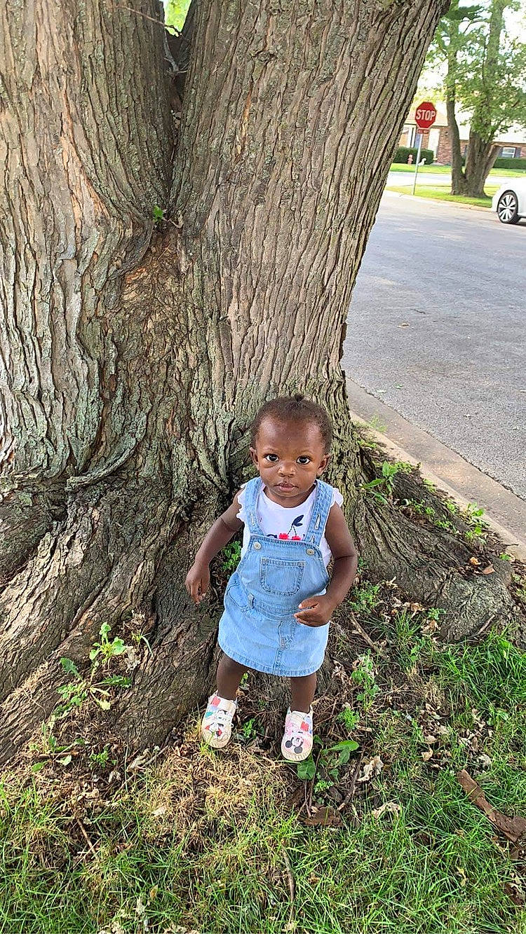 Kaedynce joined the competition — help win amazing prizes! adaptation, baby_toddler_clothing, botany, eye, grass, grass_family, green, happy, nature, people, people_in_nature, person, plant, summer, tints_and_shades, toddler, tree, trunk, wheel, wood
