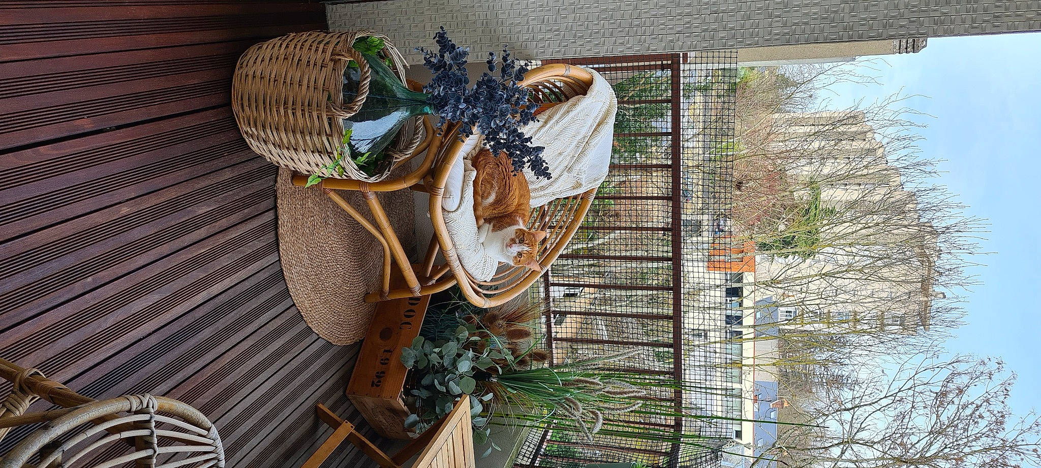 Pongo a rejoint le concours — aidez-le/la à gagner de superbes lots ! automotive_wheel_system, basket, circle, fashion_accessory, hat, home_accessories, mesh, metal, natural_material, plant, room, rope, sombrero, storage_basket, thread, tree, twig, wicker, window, wood