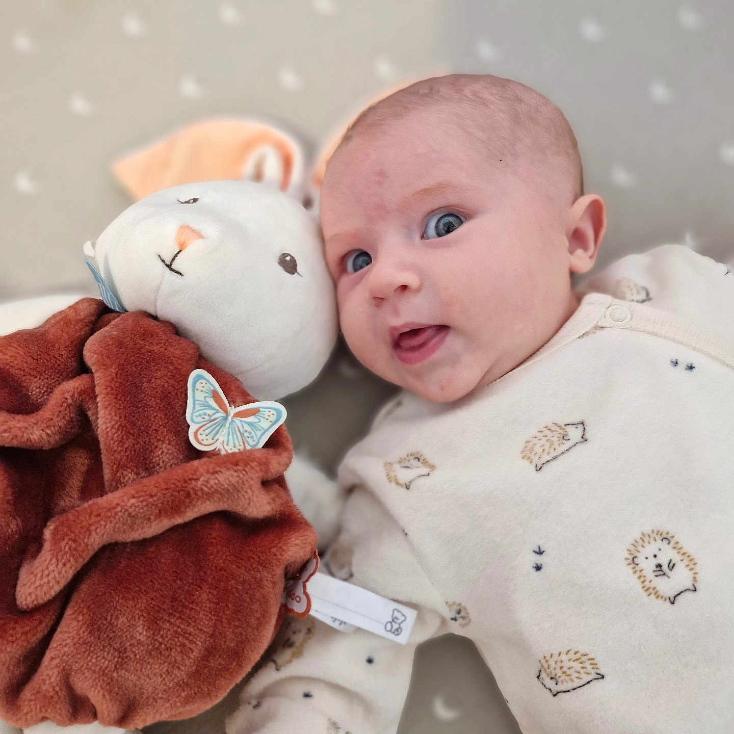 Nausicaa a rejoint le concours — aidez-le/la à gagner de superbes lots ! baby, blanket, blue_eyes, child, close_up, comfort, cute, happy, hedgehog_pattern, indoor, infant, lying_down, moon_pattern, onesie, plush_toy, portrait, sleepwear, snuggling, soft_toy, stuffed_animal