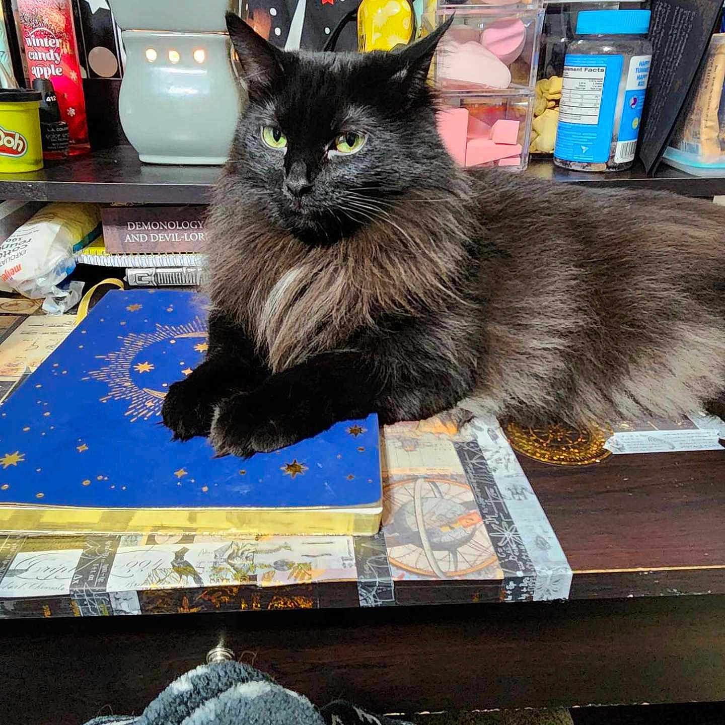 Anubis