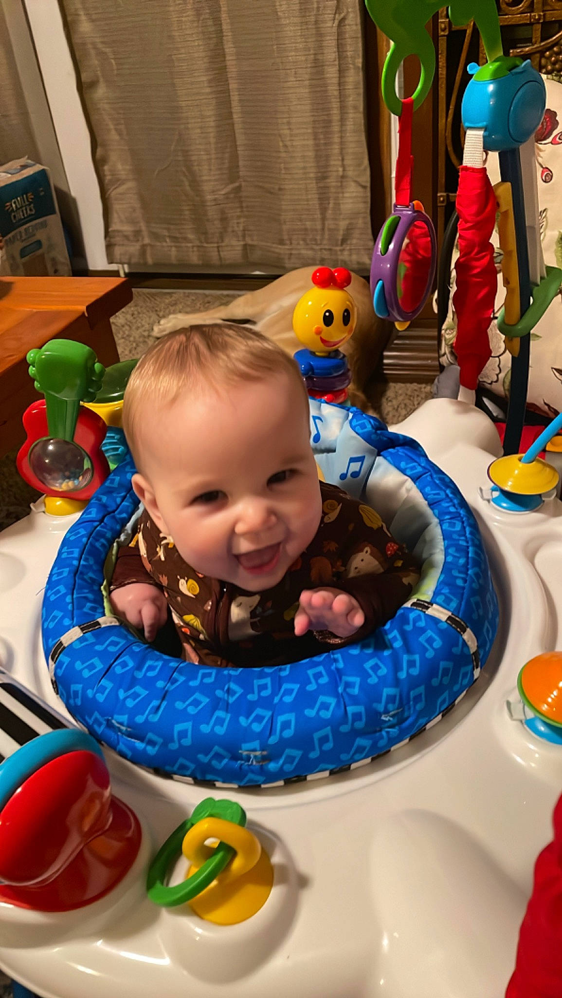Becker is registered to the contest to win money with this photo: baby, baby_playing_with_toys, baby_products, baby_toddler_clothing, baby_toys, chair, cheek, child, event, fun, joy, leisure, party, person, play, product, recreation, room, sitting, toddler